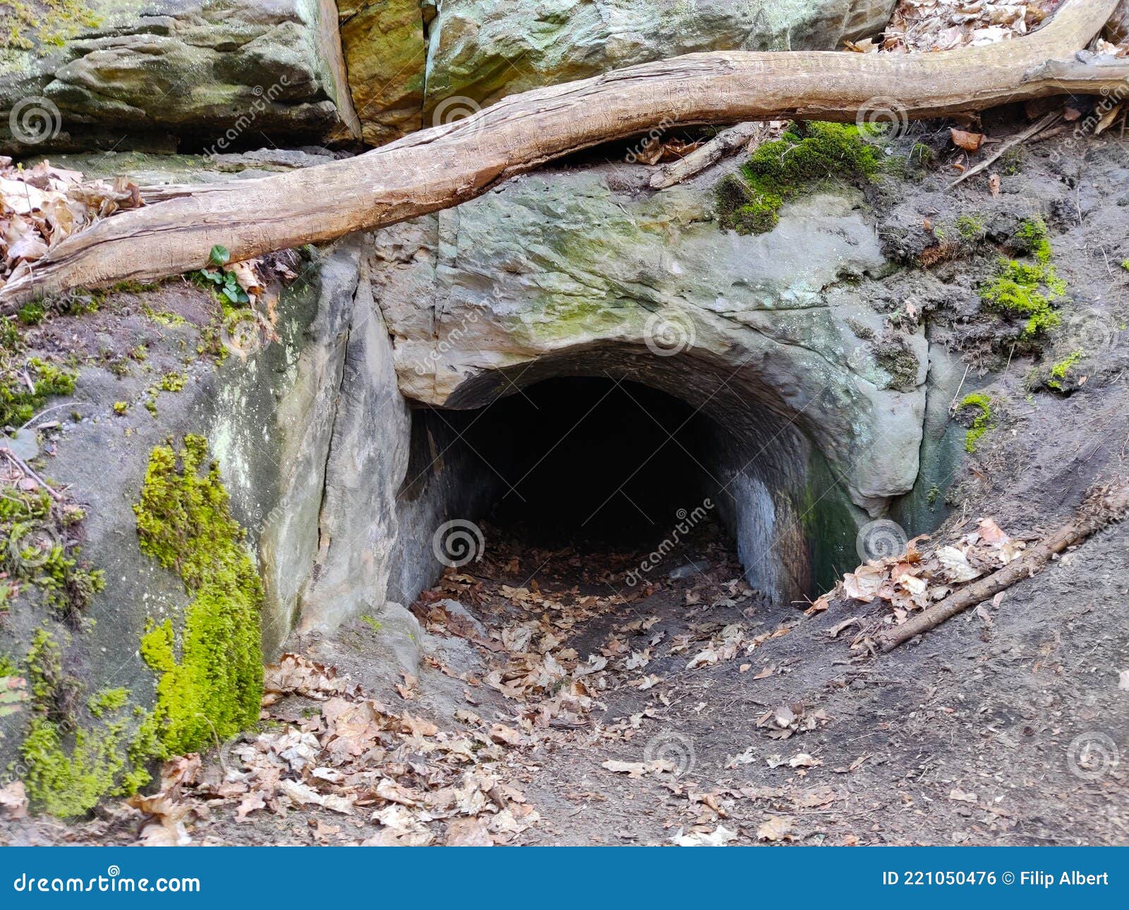 cave entrance seen from the outside