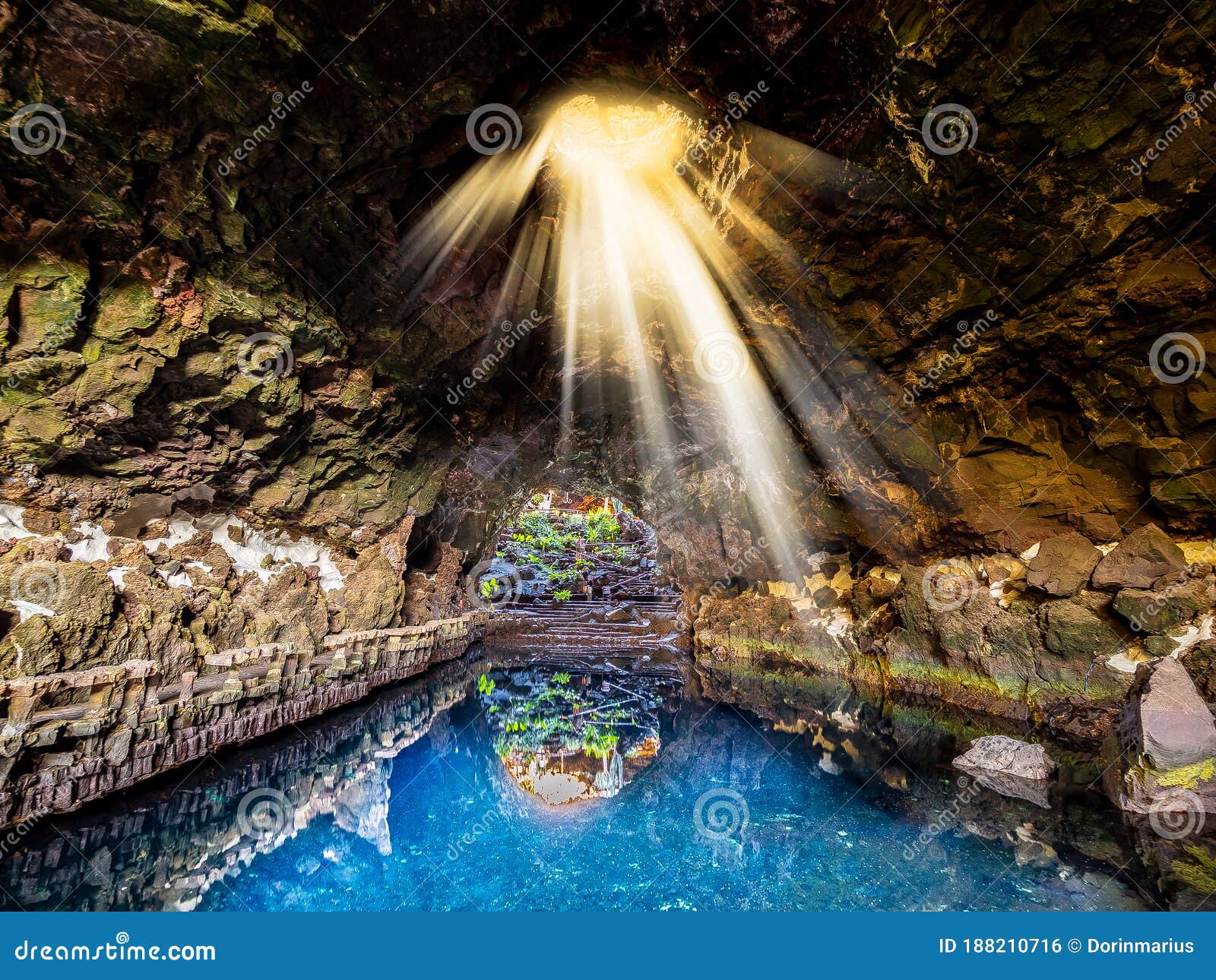 cave jameos del agua, natural cave and pool