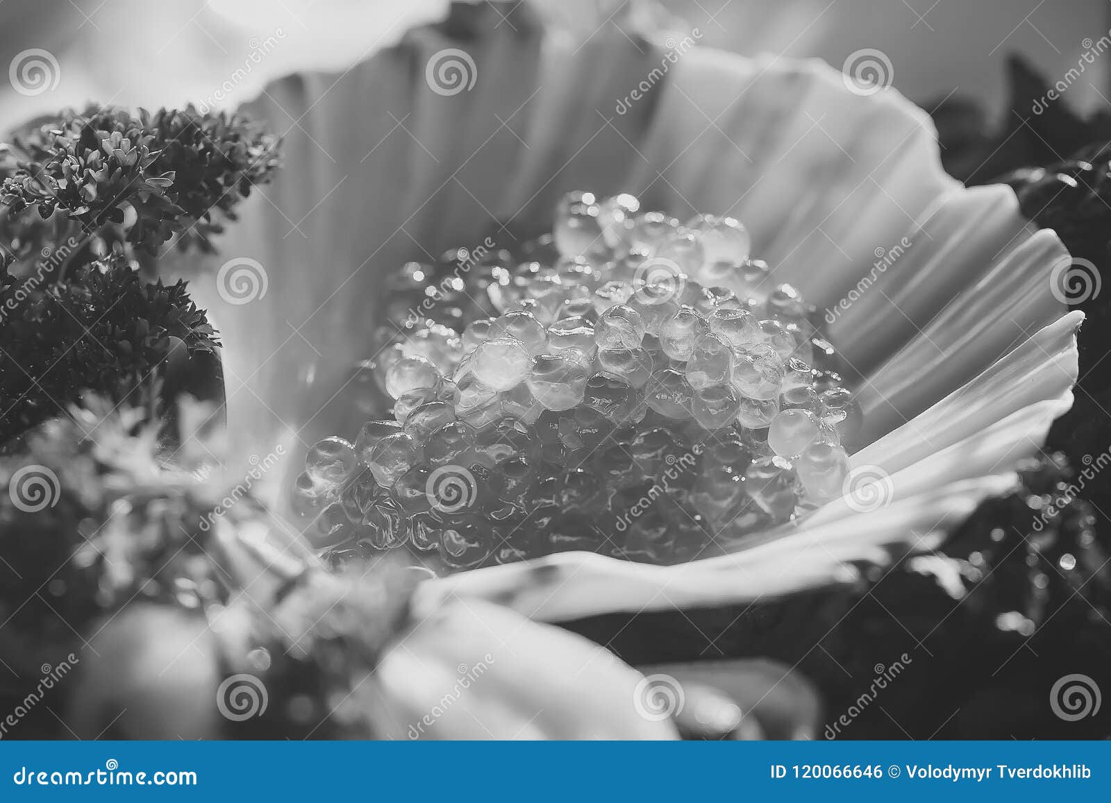 caviar on a buffet table. red caviare in shell