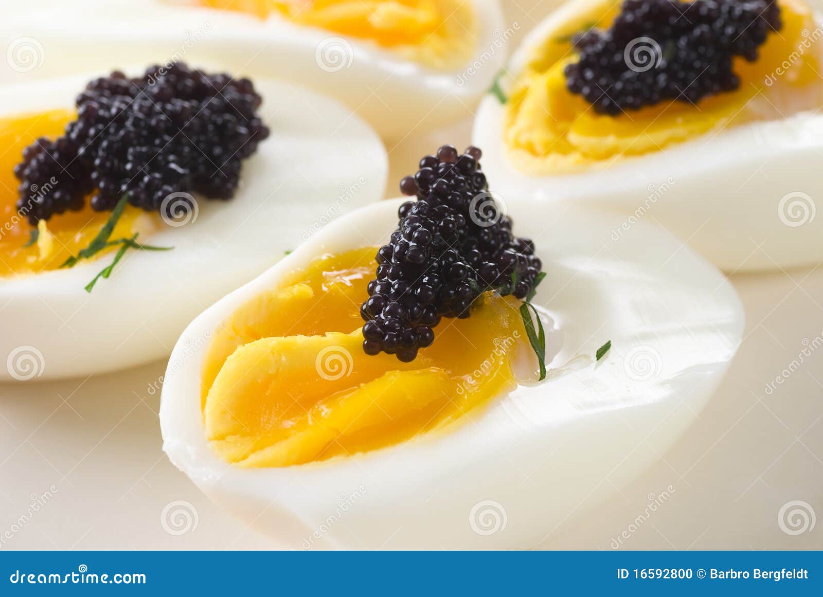 Caviar Eggs stock photo. Image of dill, black, close 16592800