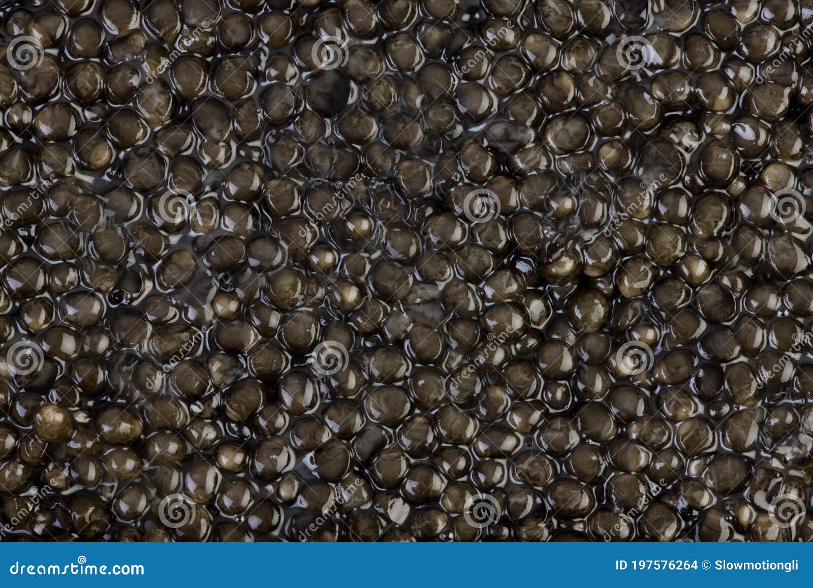Caviar, Sturgeon`s Eggs stock photo. Image of acipenser 197576264