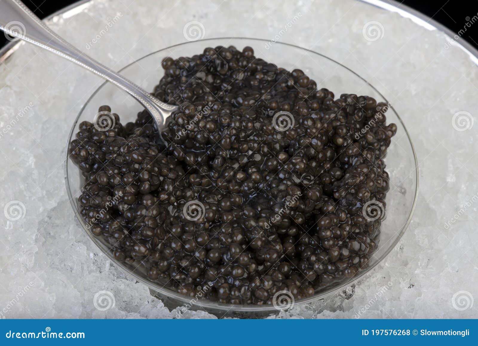 Caviar, Sturgeon`s Eggs stock photo. Image of food, studio 197576268