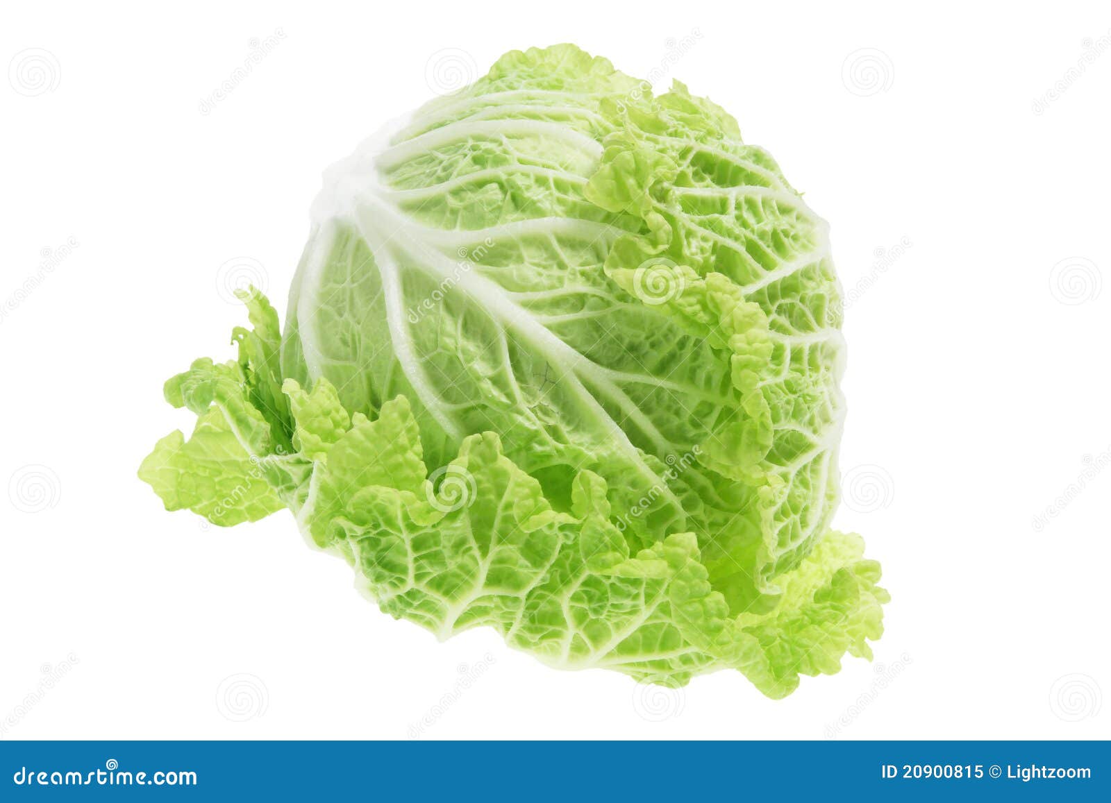 Cavolo Cinese De Chine Pak Choi Taisai - Foto 10