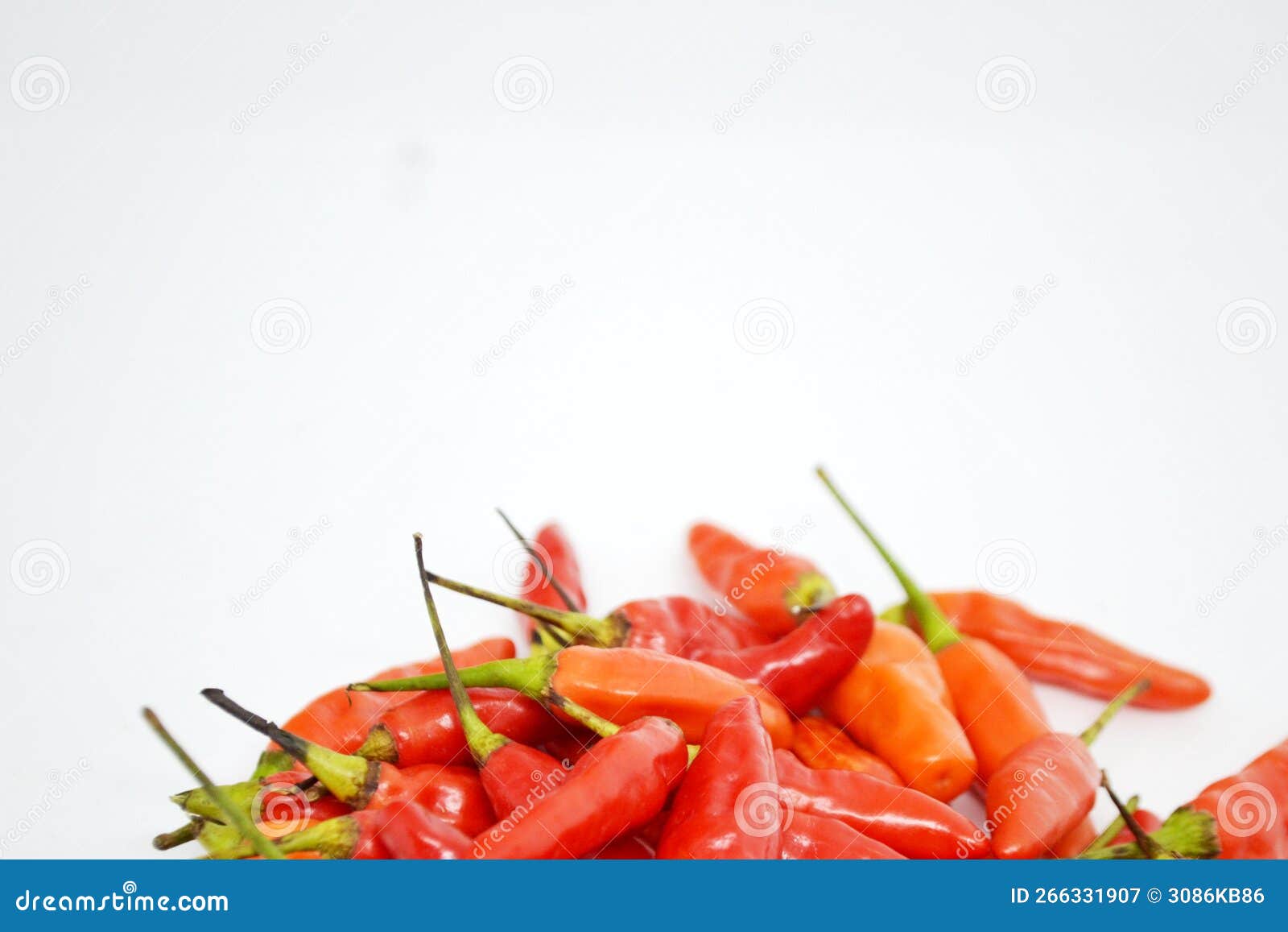 Cayenne Pepper with a Spicy Taste that Has a Variety of Nutrients Stock