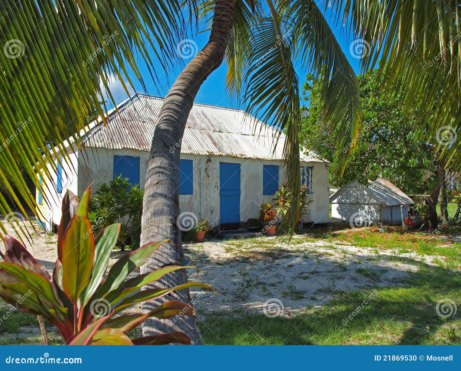 Cayman Islands House and Garden Stock Photo Image of tree, daub 21869530