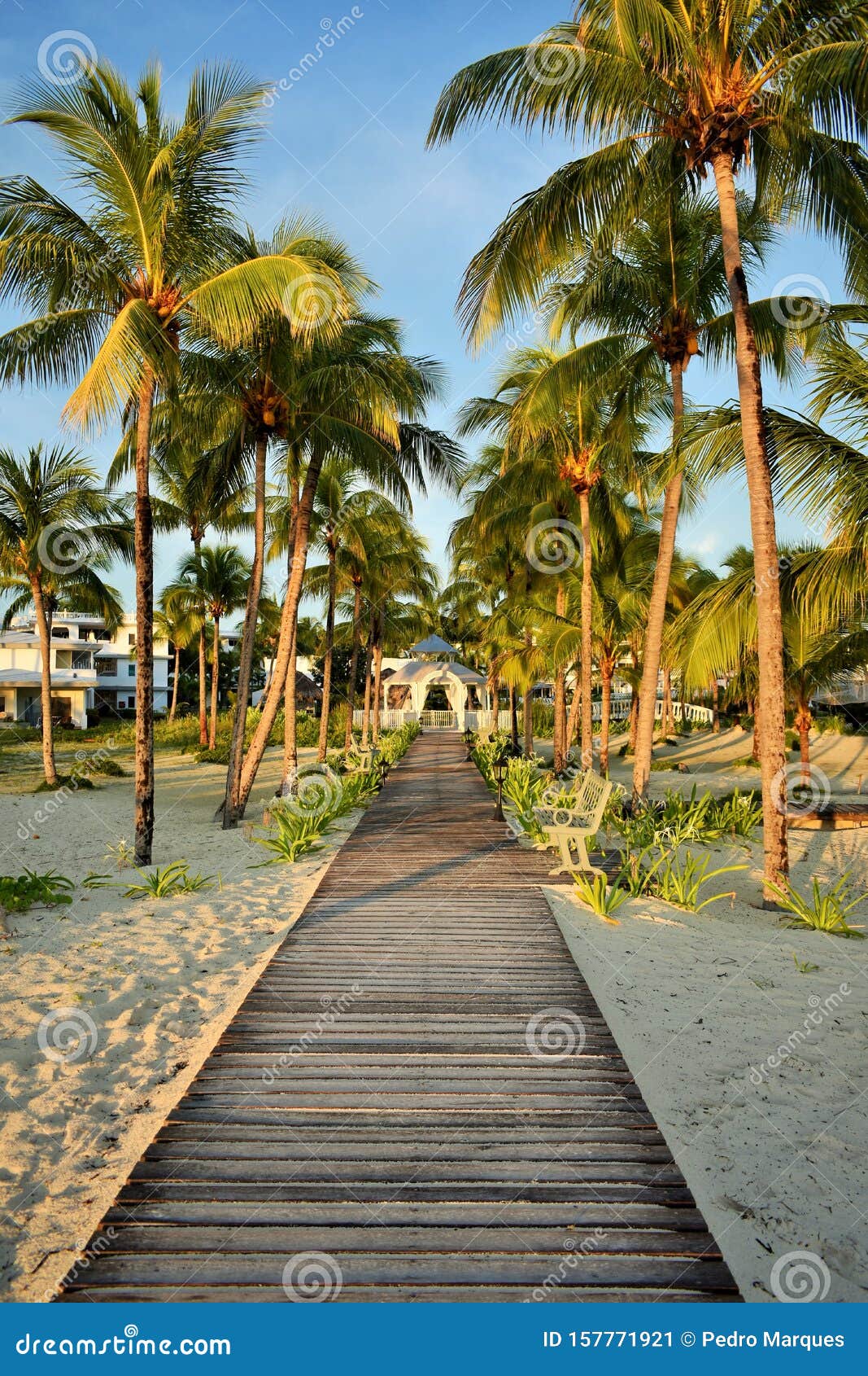 cayo guillermo - cuba