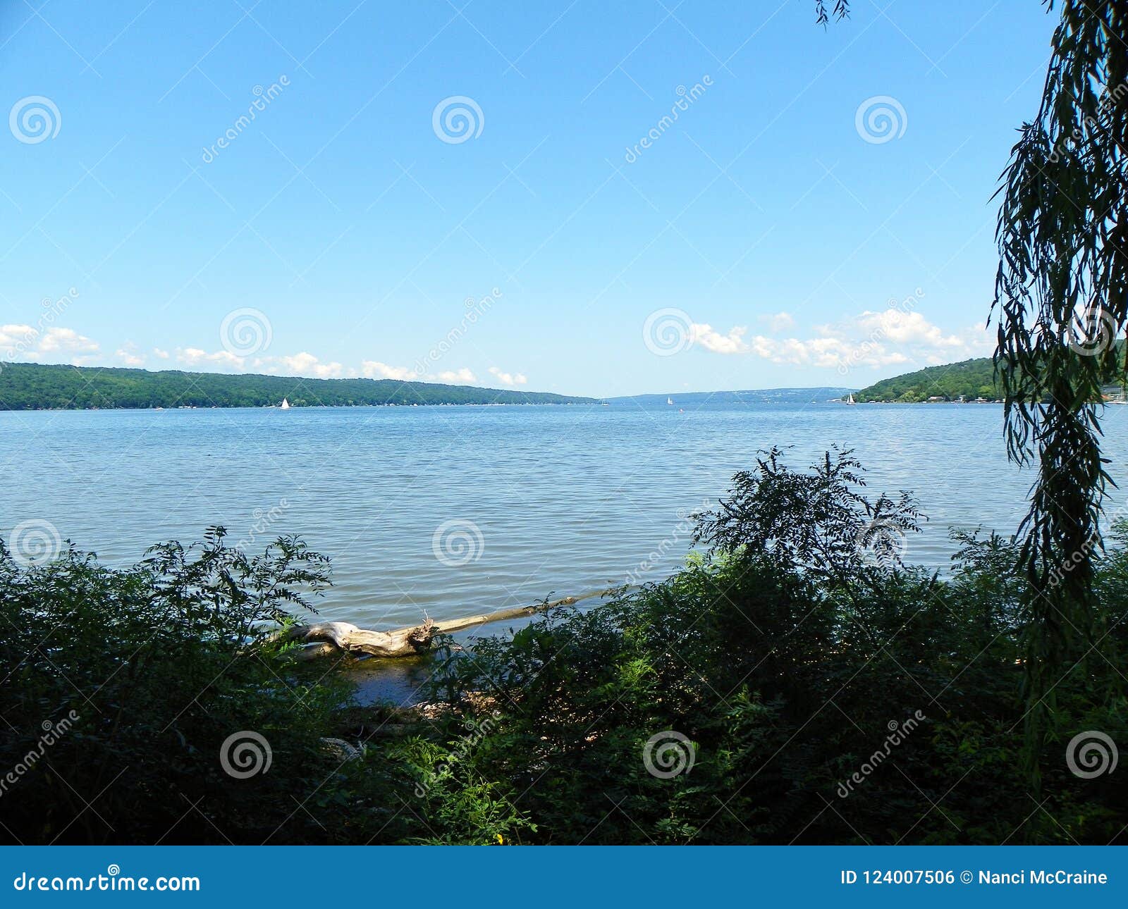 cayuga lake from stewart park looking north