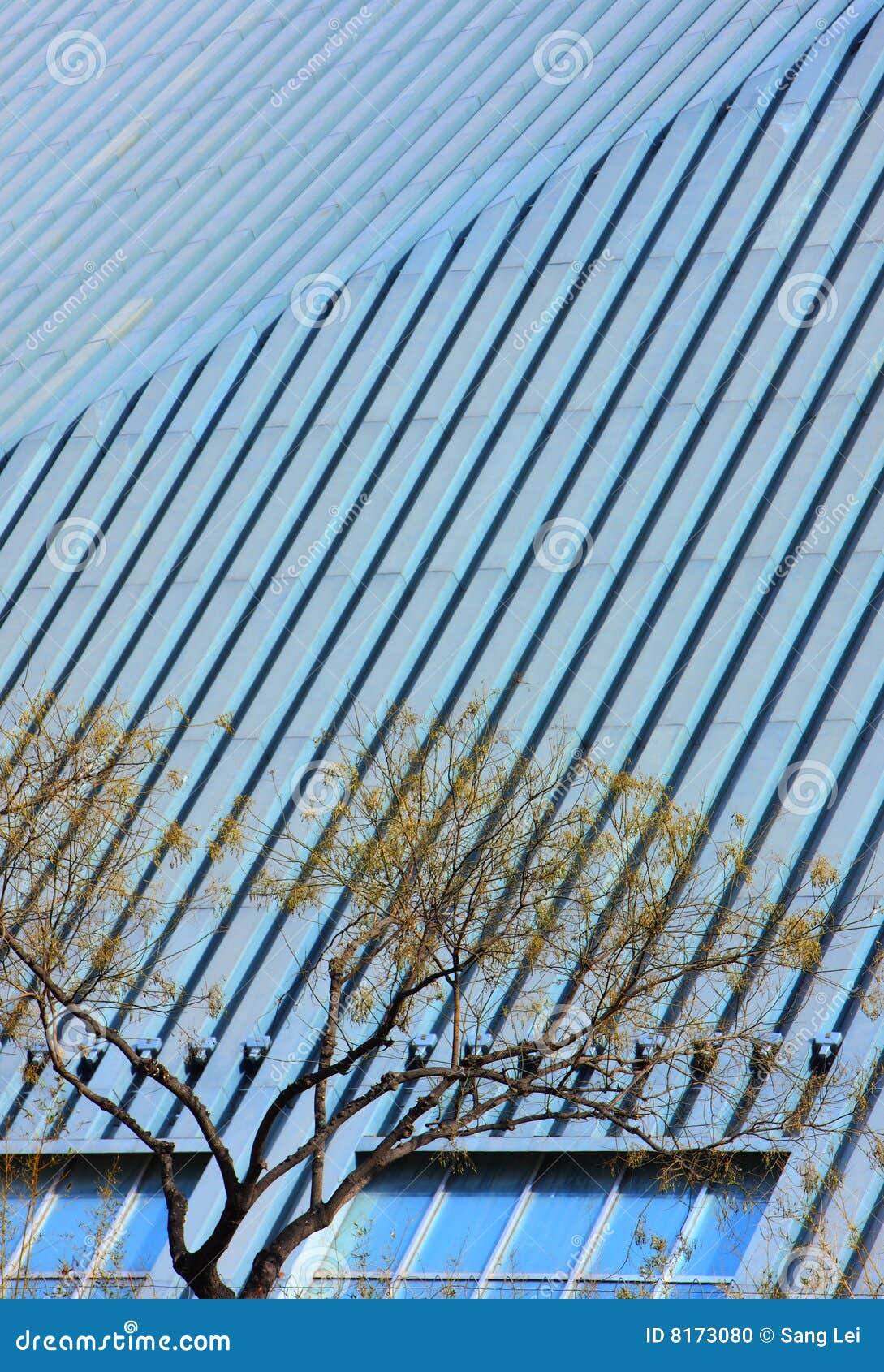 Cctv building and trees stock photo. Image of branch, blue - 8173080