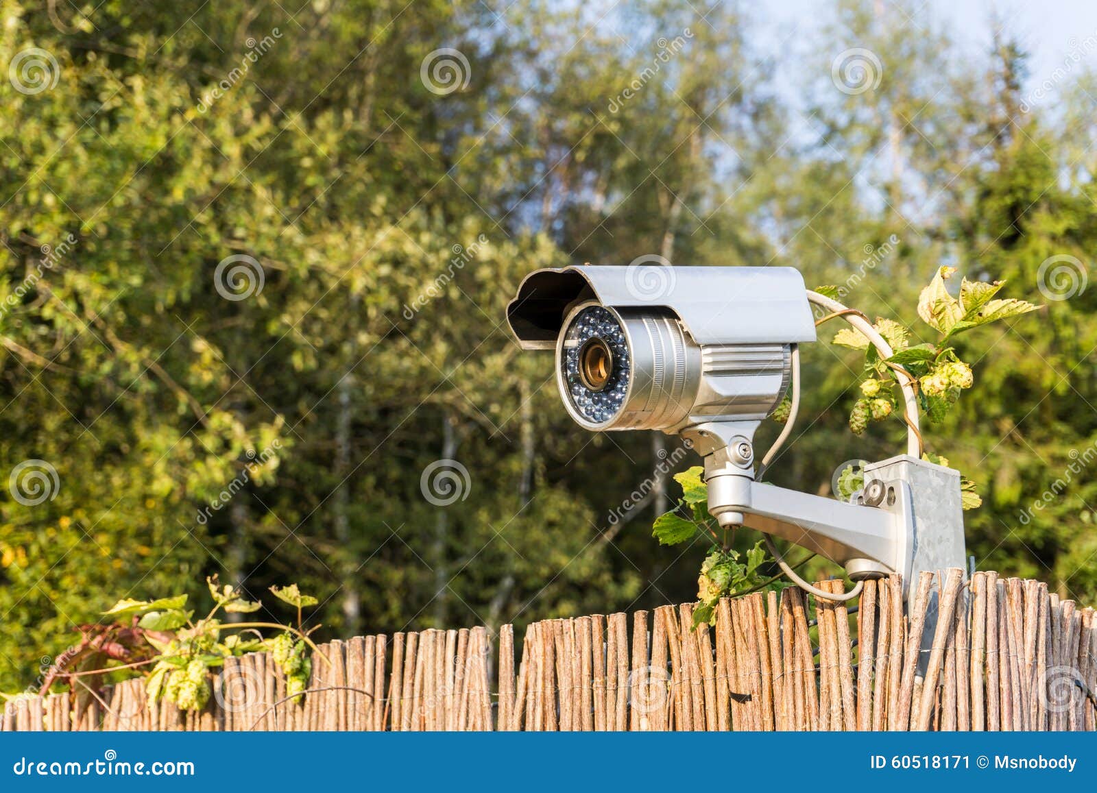 CCTV Security Camera on Garden Fence Stock Image Image of fence