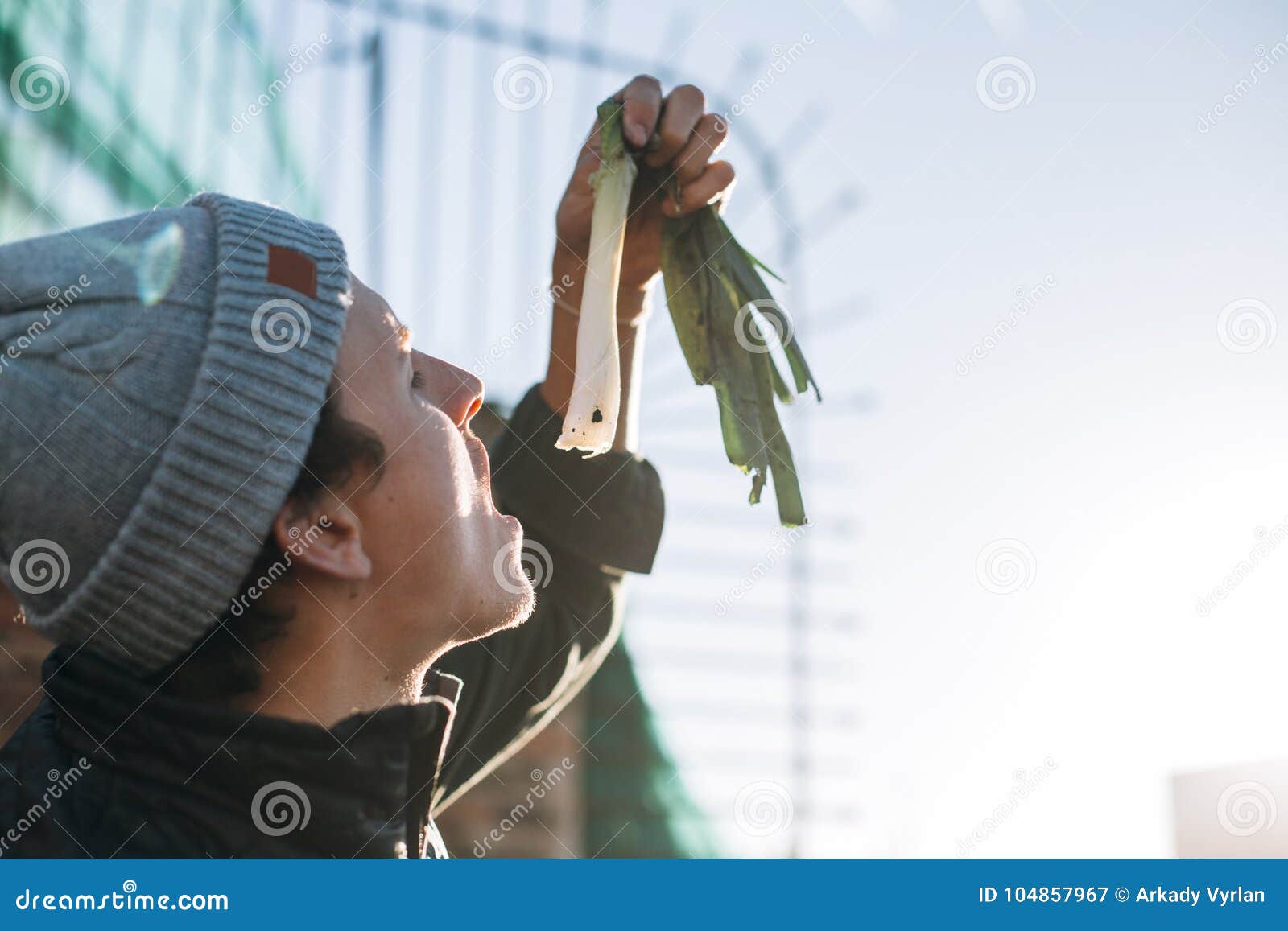 Cebolla Catalan De Los Calcots O Cambray Tradicional Imagen de archivo
