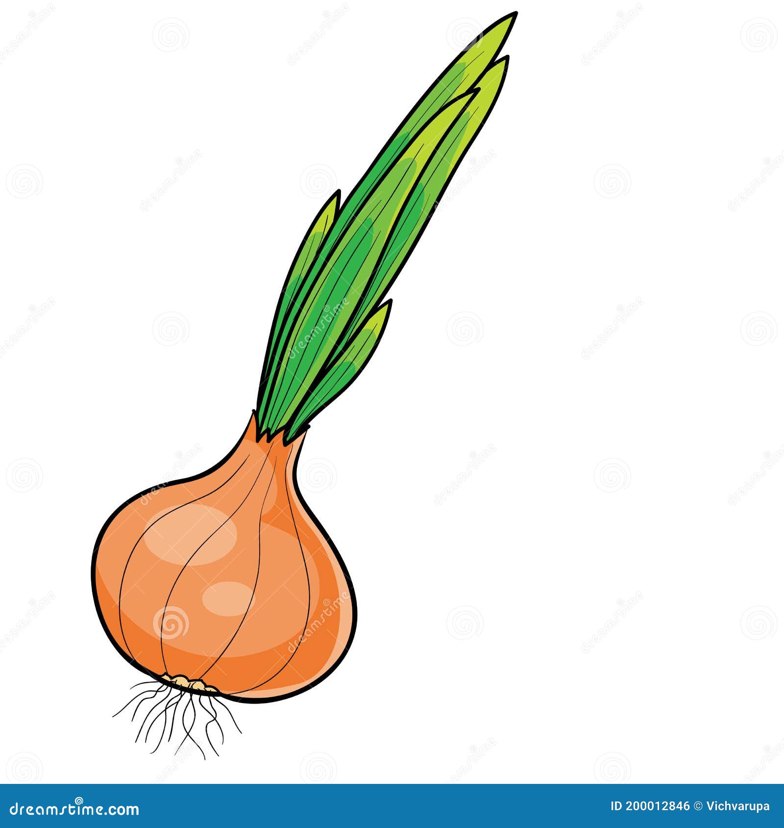 Cebolla Con Plumas Verdes, Ilustración De Dibujos Animados, Objeto Aislado Sobre Fondo Blanco, Vector Ilustración del Vector - Ilustración de muestra, cebolla: 200012846 Cebolla Con Plumas Verdes, Ilustración De Dibujos Animados, Objeto Aislado Sobre Fondo Blanco, Vector Ilustración del Vector - Ilustración de muestra, cebolla: 200012846
