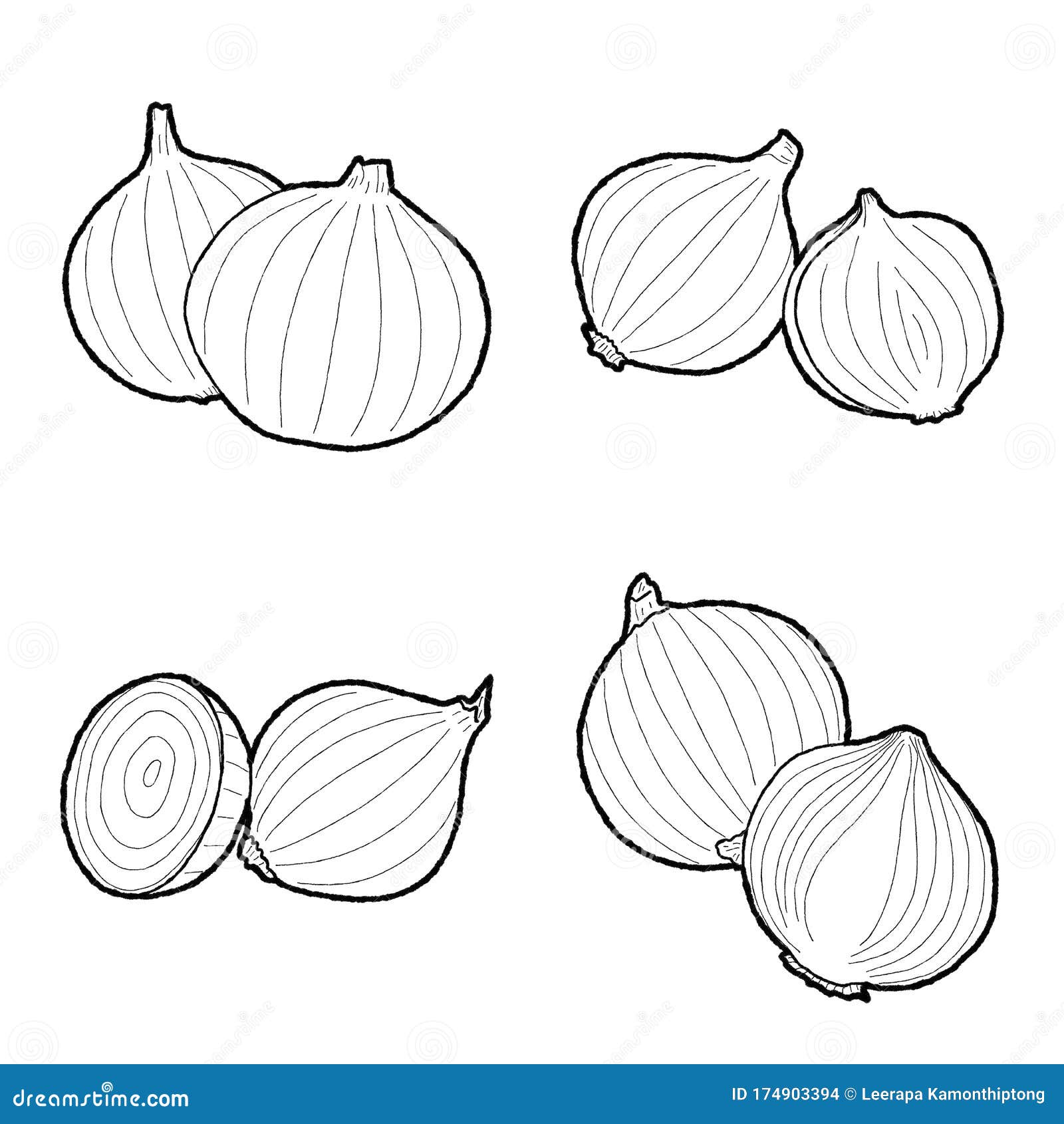 Cebollas Vector Ilustración Dibujado a Mano Vegetal Dibujos Animados Arte Ilustración del Vector - Ilustración de rebanada, cebollas: 174903394 Cebollas Vector Ilustración Dibujado a Mano Vegetal Dibujos Animados Arte Ilustración del Vector - Ilustración de rebanada, cebollas: 174903394