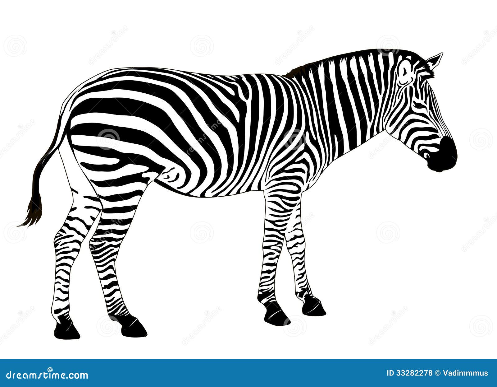 Cebra del vector ilustración del vector. Ilustración de camuflaje