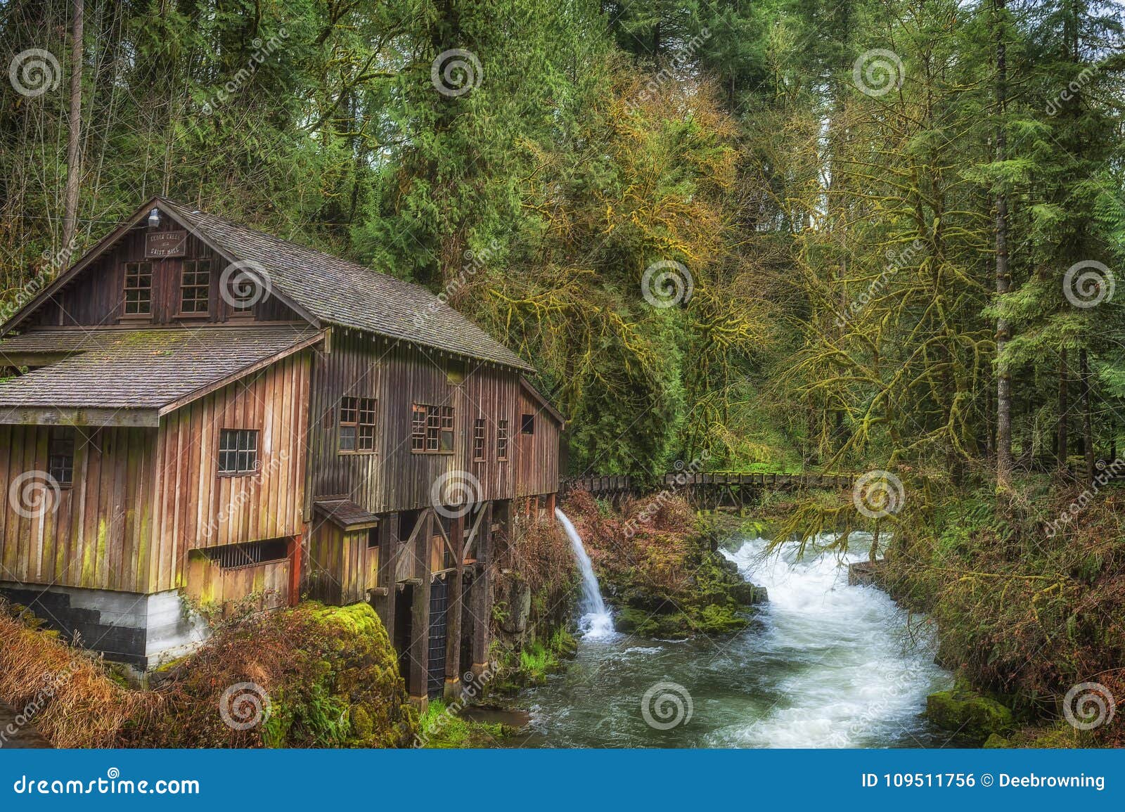 cedar creek grist mill in washington state