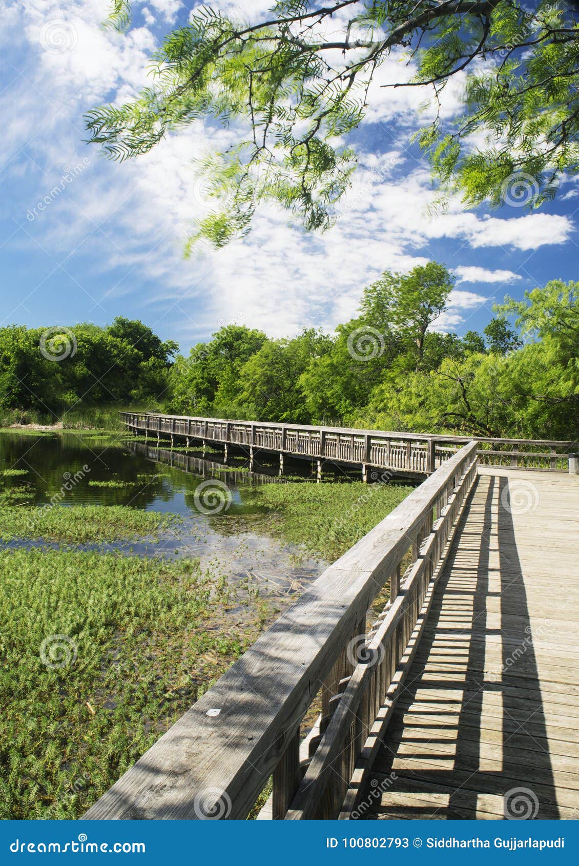 cedar hill state park - fishing bridge