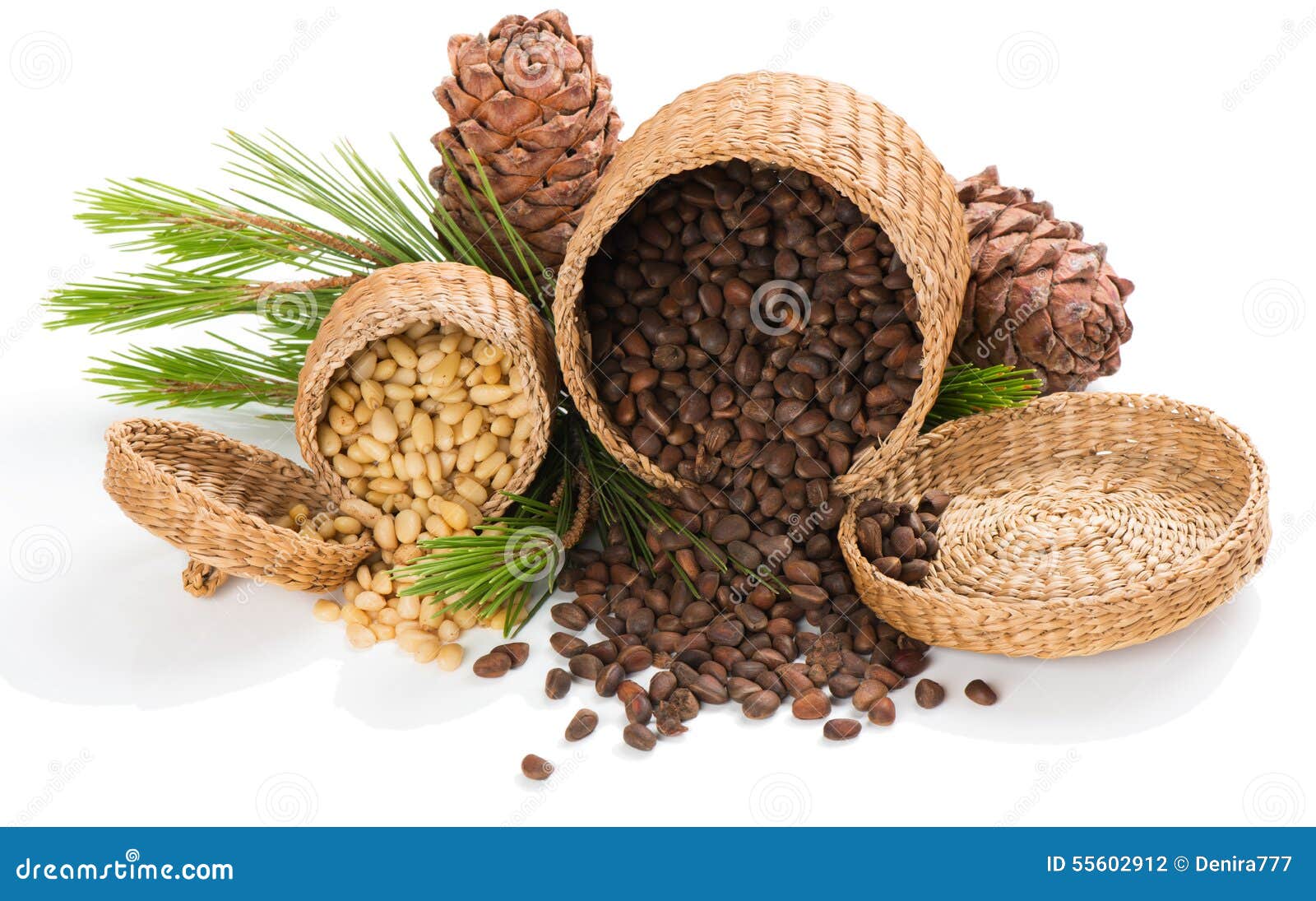Cedar pine nuts stock photo. Image of ingredient, background 55602912