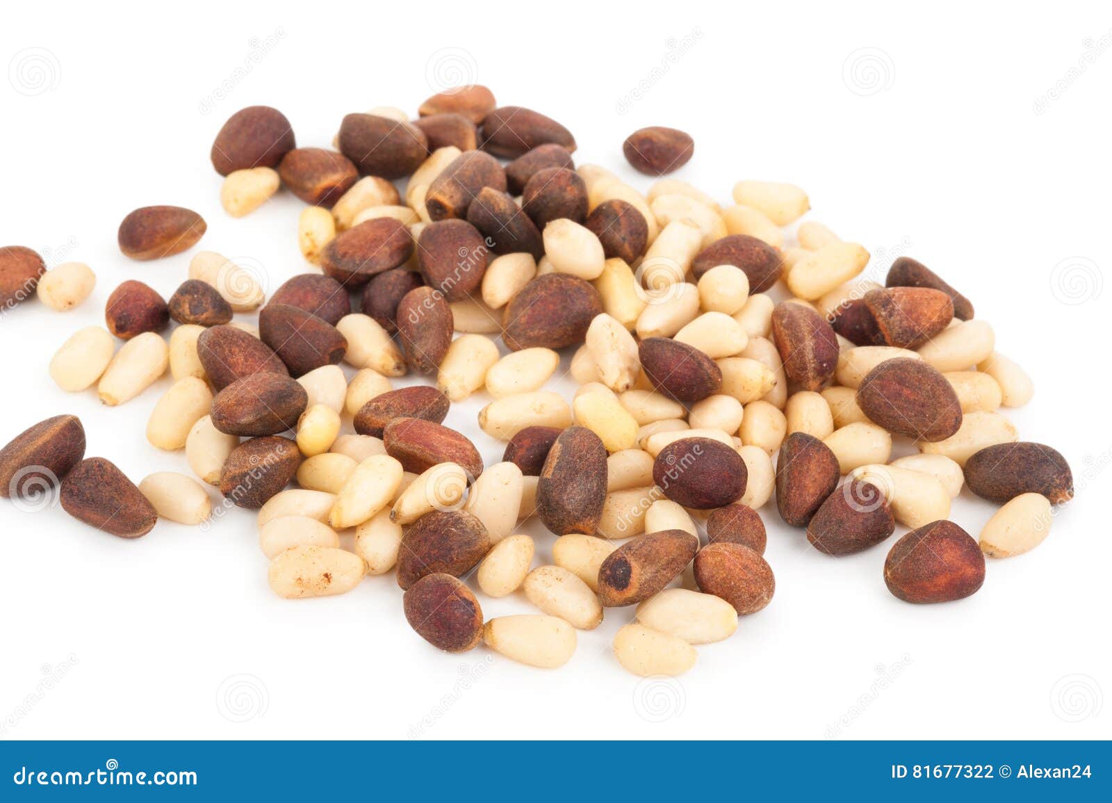 Cedar pine nuts stock photo. Image of plant, botany, heap 81677322