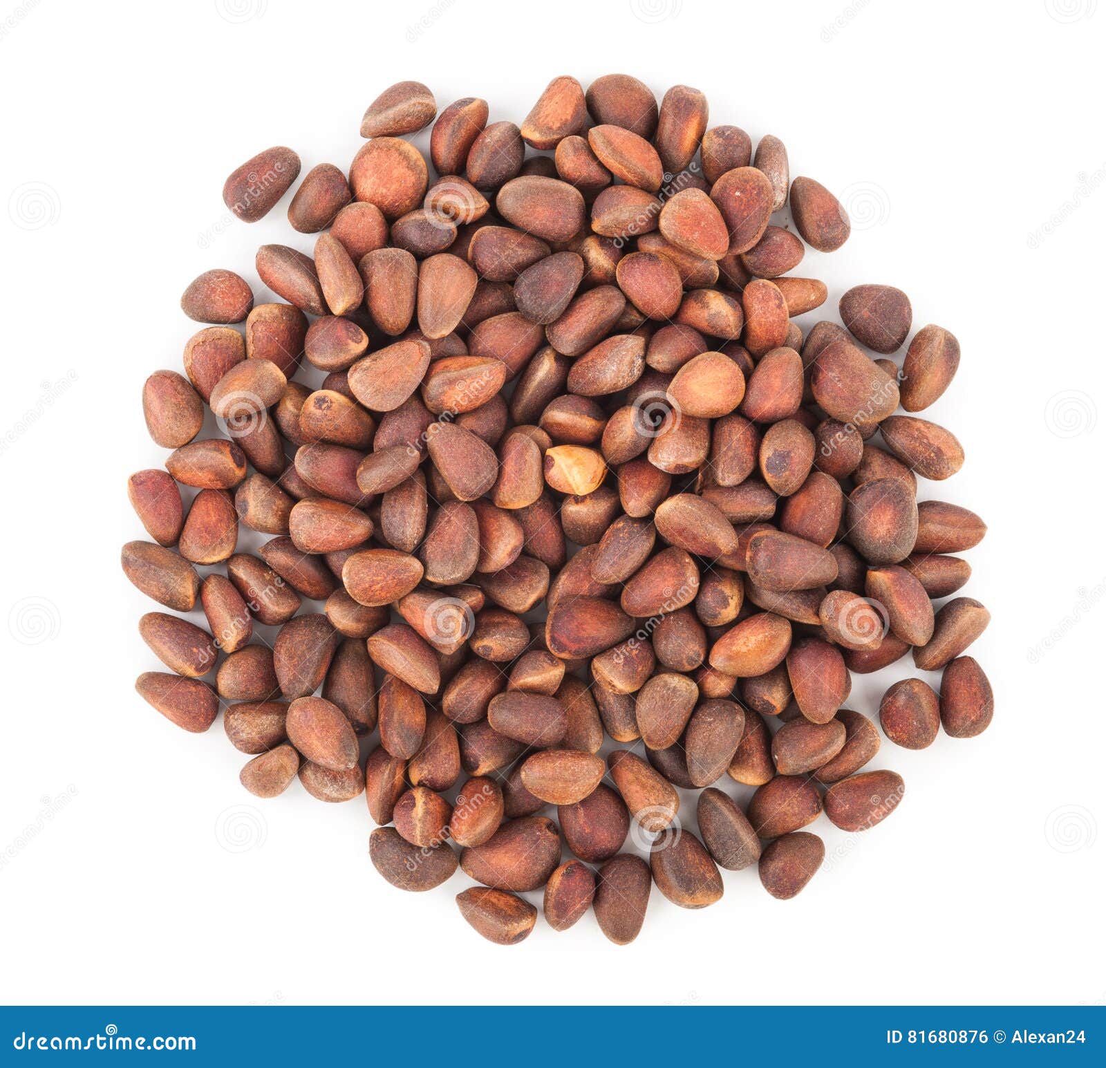 Cedar pine nuts stock photo. Image of pinoli, food, seed 81680876