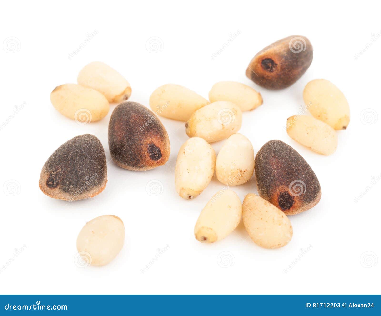Cedar pine nuts stock image. Image of siberian, handful 81712203