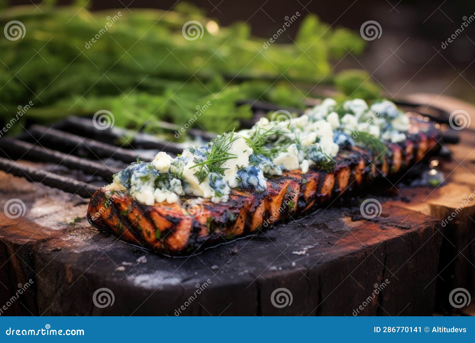Cedar Plank with Blue Cheese and Fresh Herbs on Grill Stock Image