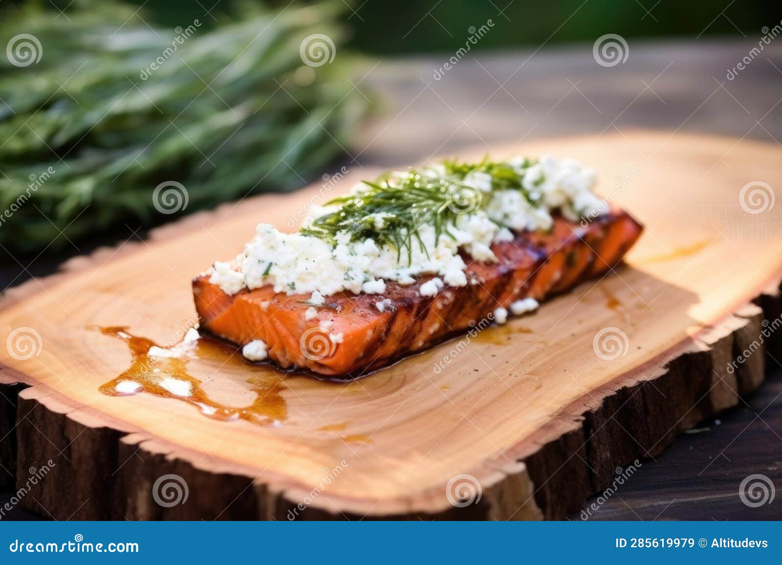 Cedar Plank with Ricotta Cheese on a Hot Grill Stock Image Image of