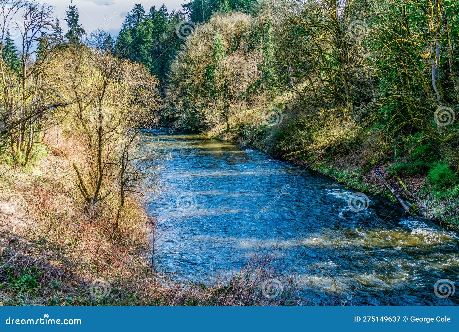 Cedar River in Renton 7 stock image. Image of nature 275149637