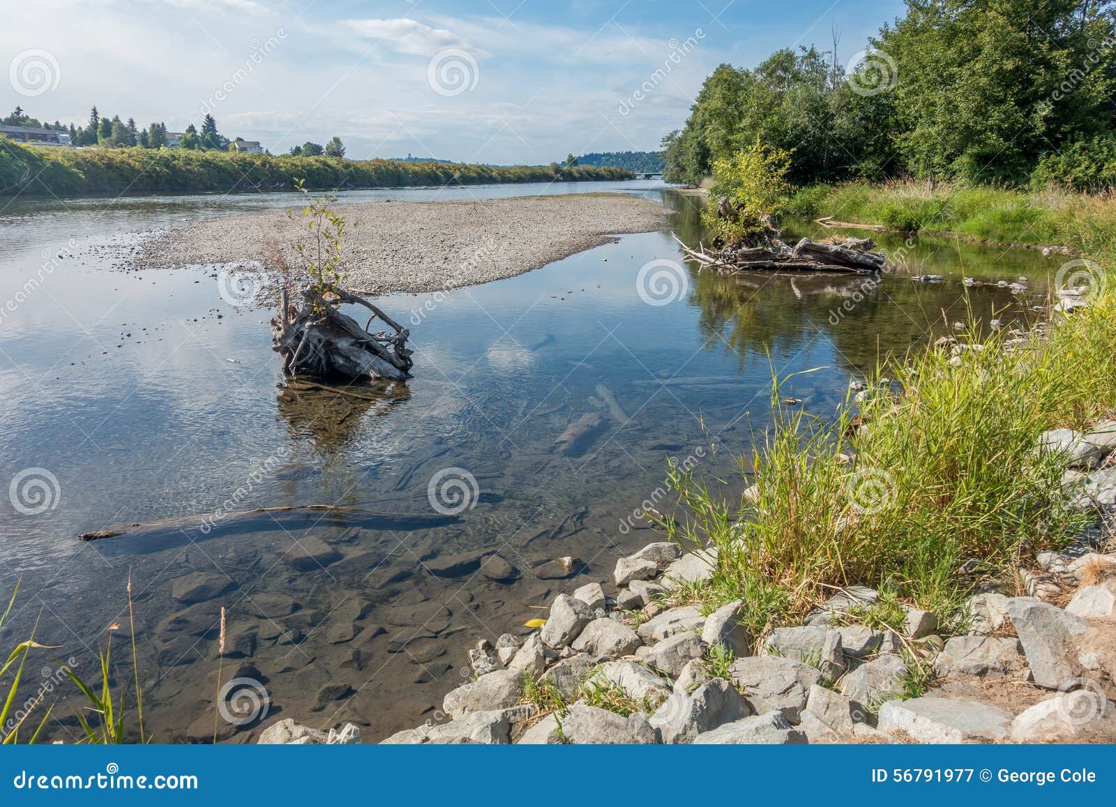 Cedar River in Renton stock image. Image of landscape 56791977