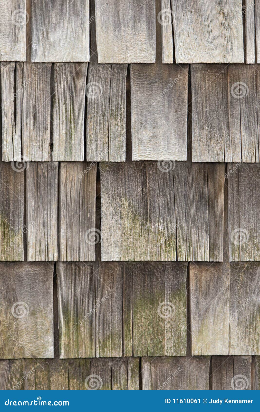 633 Cedar Siding Home Stock Photos - Free \u0026 Royalty-Free Stock Photos from  Dreamstime, image size:1067x1690