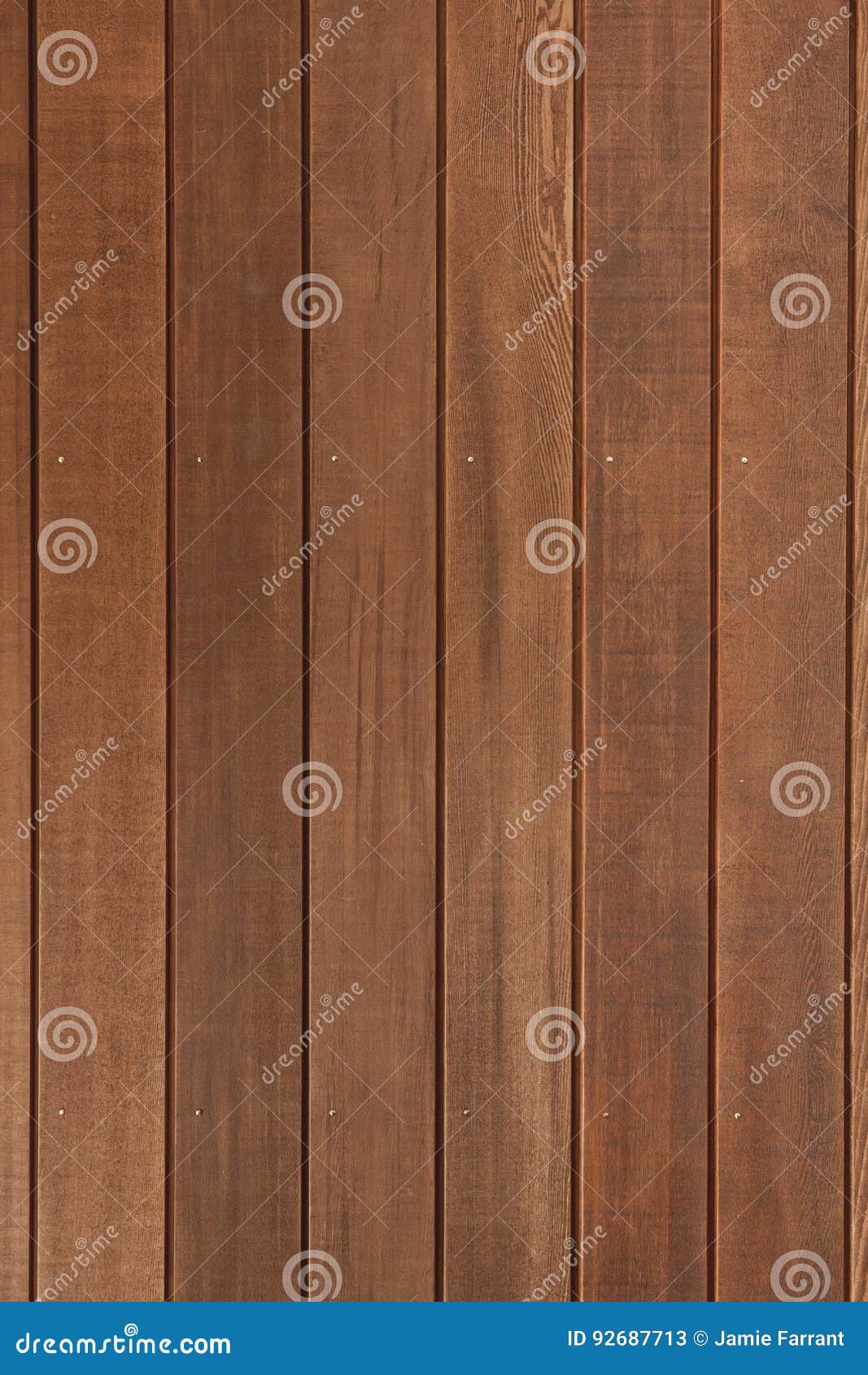 Cedar Wooden Wall Background Stock Image Image Of Wood