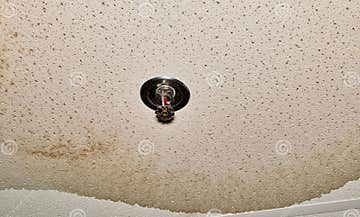 Ceiling Damage from a Water Pipe Leak in an Interior Ceiling. Stock