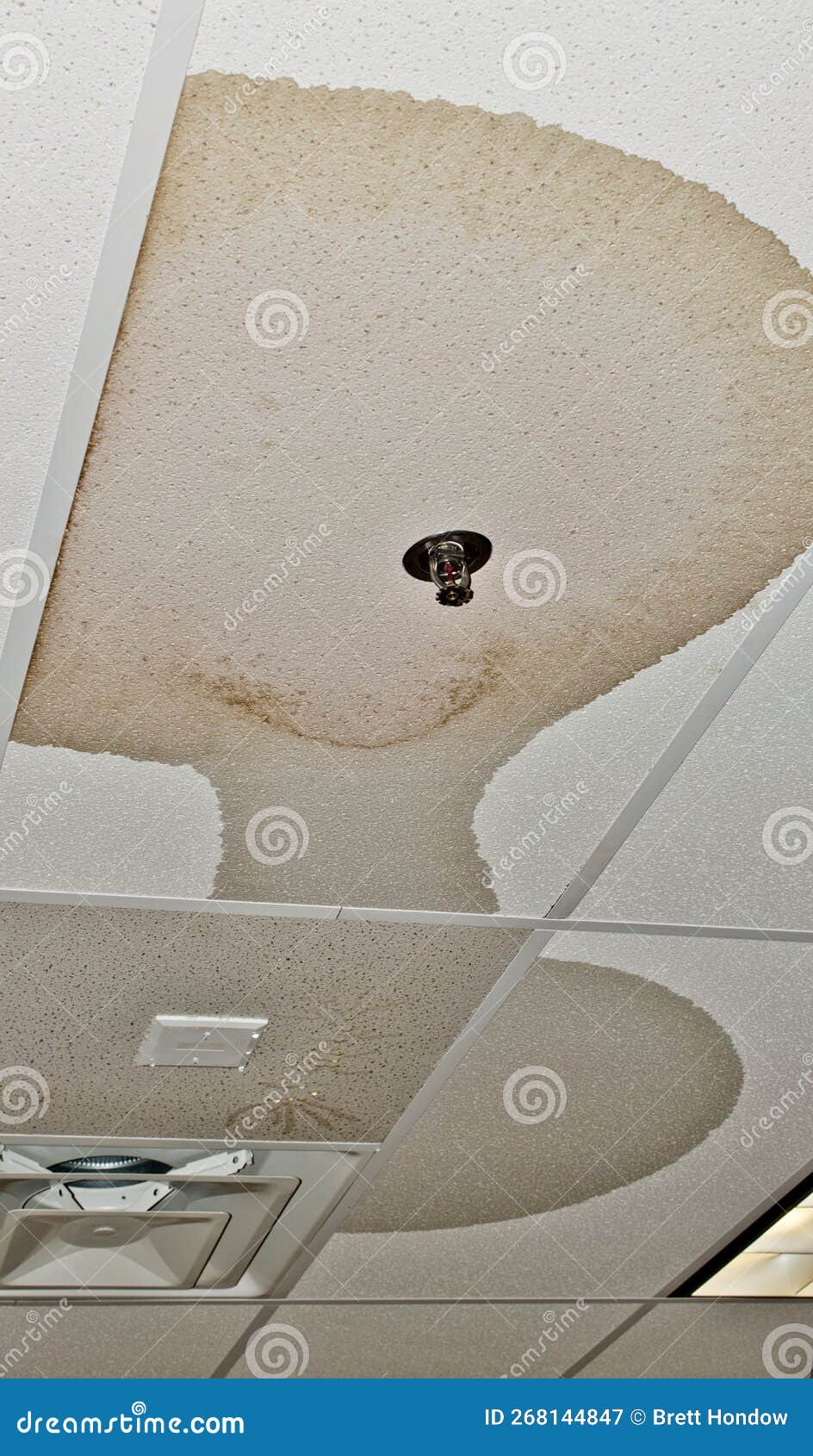 Ceiling Damage from a Water Pipe Leak in an Interior Ceiling. Stock