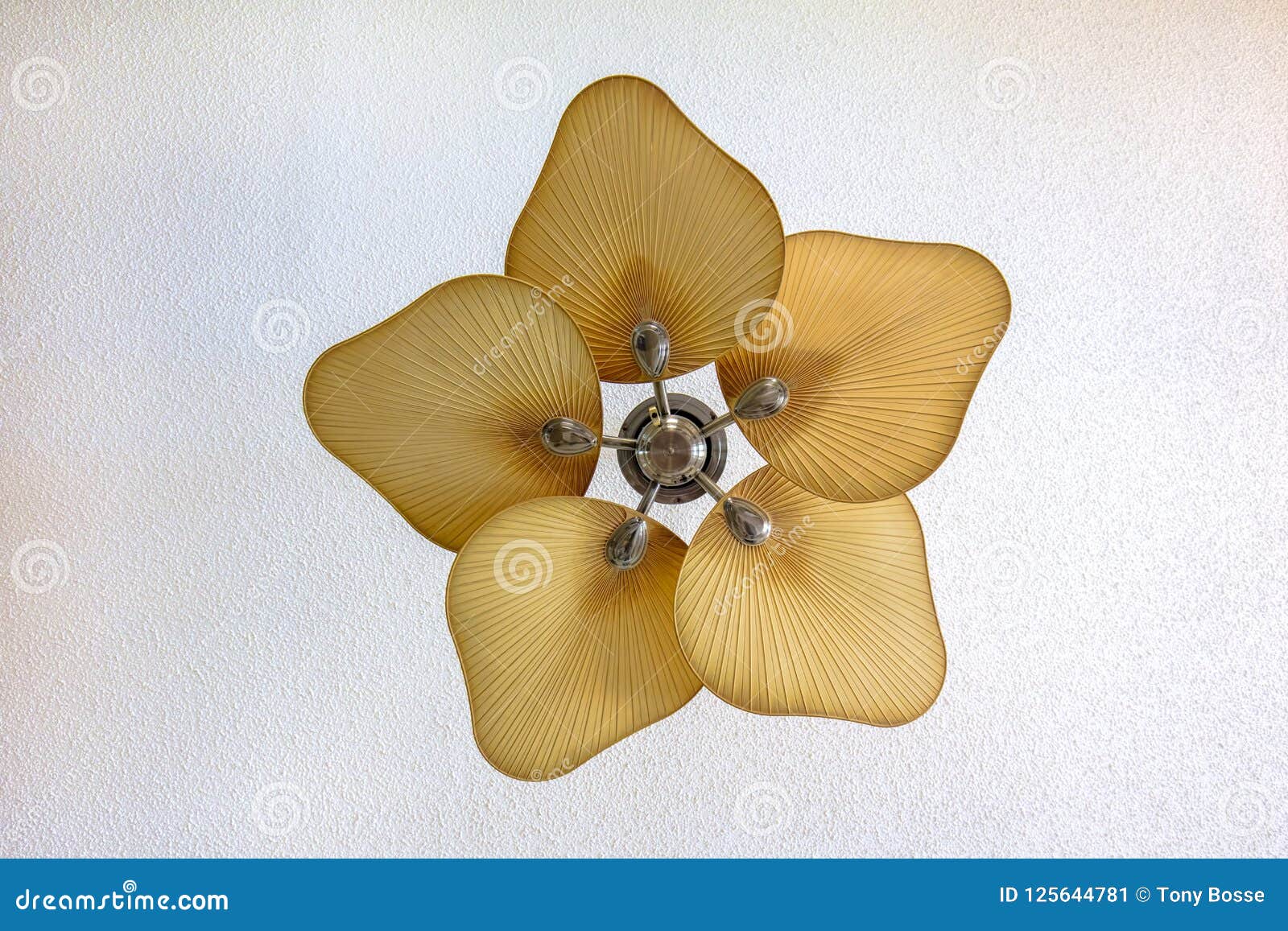 Ceiling Fan With Leaf Shaped Blades Stock Image Image Of