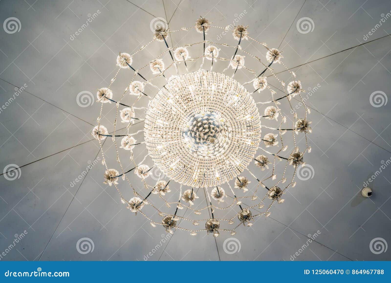 Ceiling Lamps Suspended From Stock Photo Image Of Ceiling
