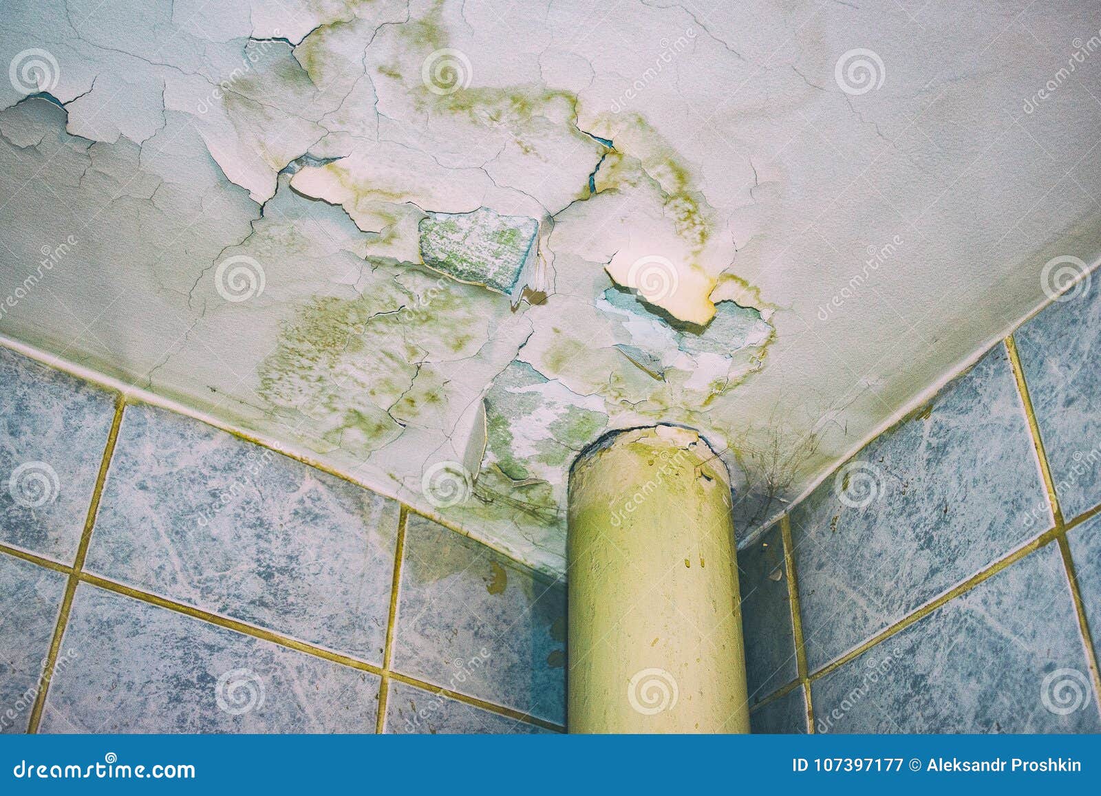 Ceiling In Need Of Repair Stock Image Image Of Leakage 107397177