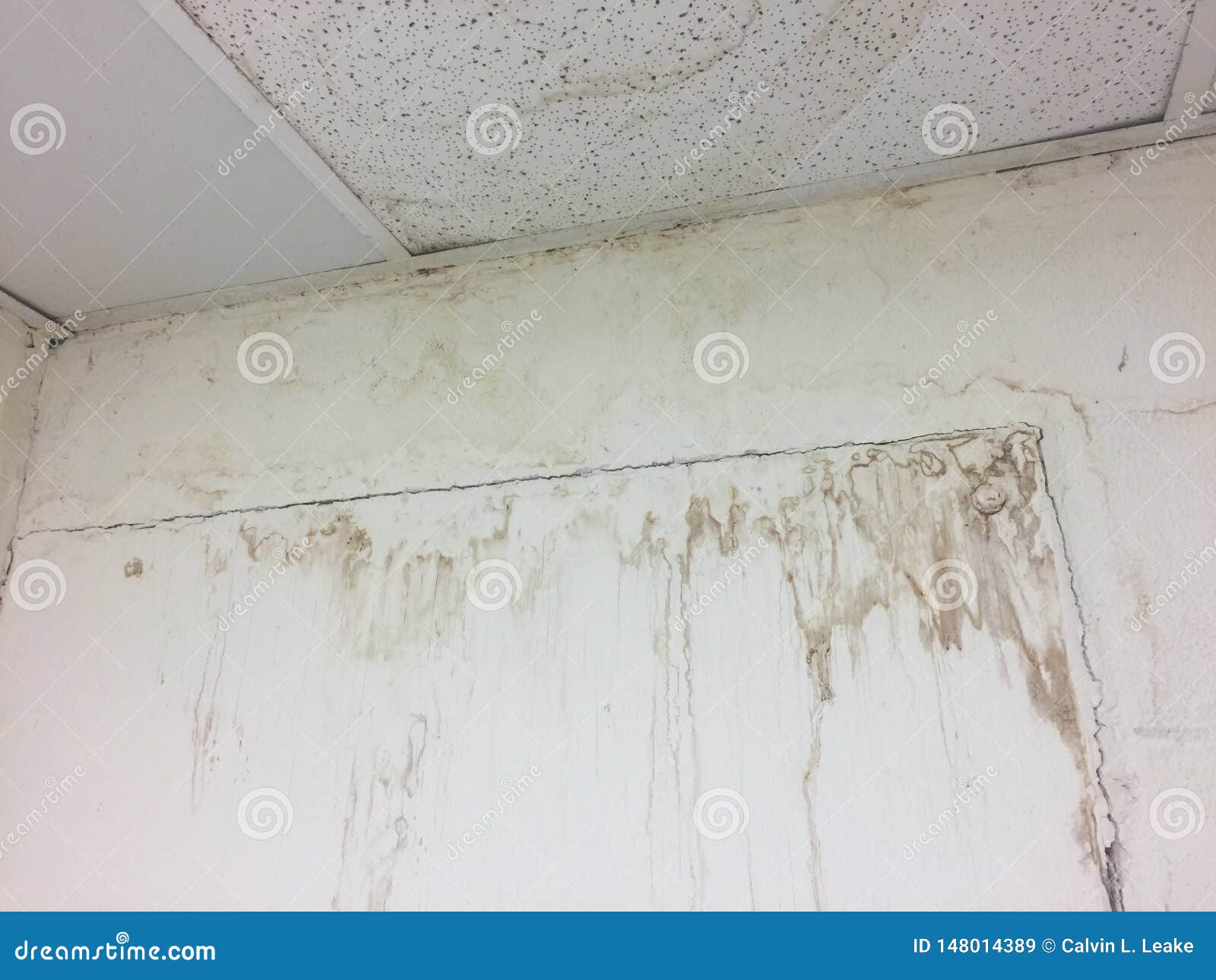 Water Damaged Ceiling Tiles And Drywall Stock Image Image