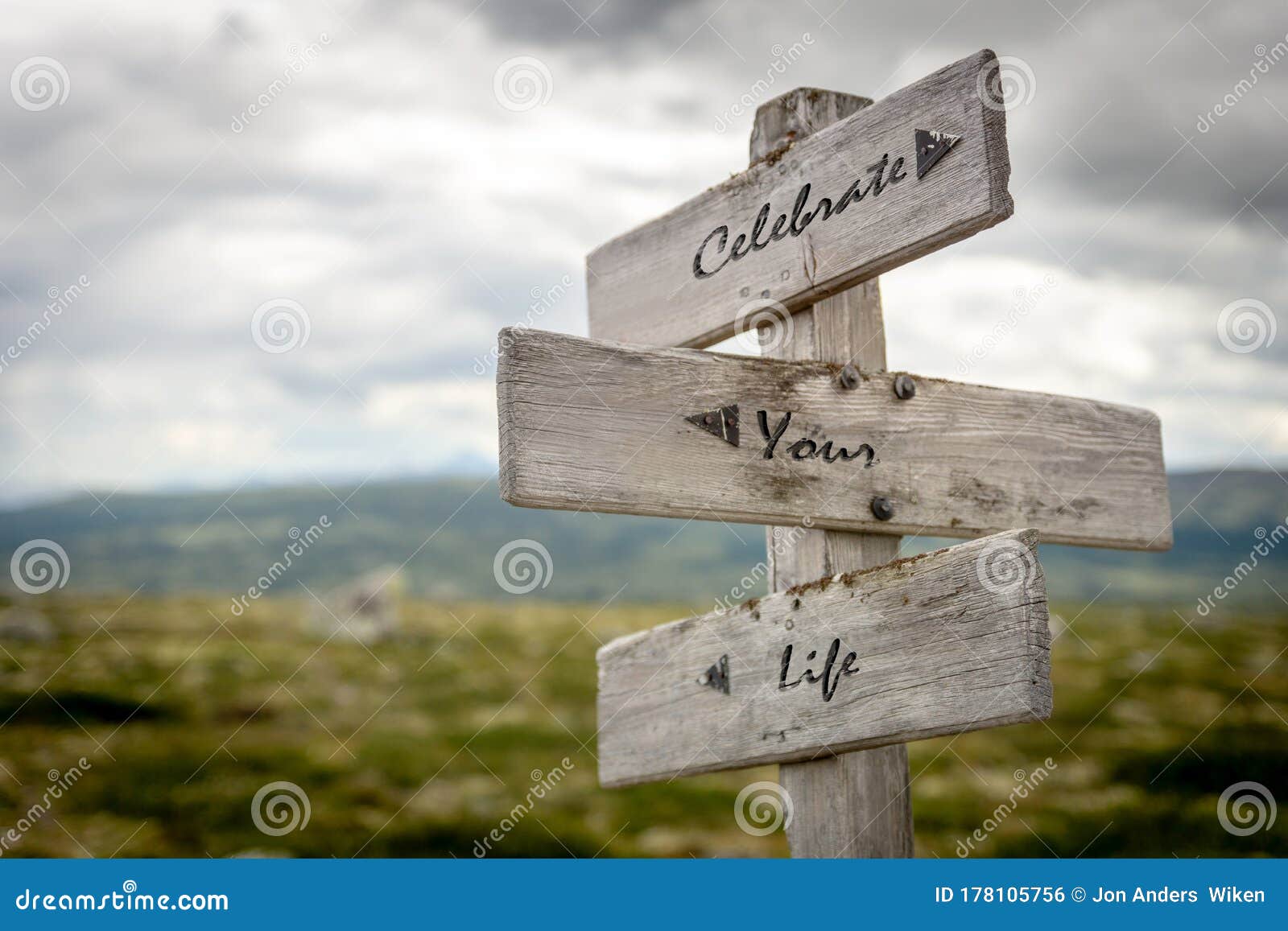 celebrate your life text on wooden signpost outdoors