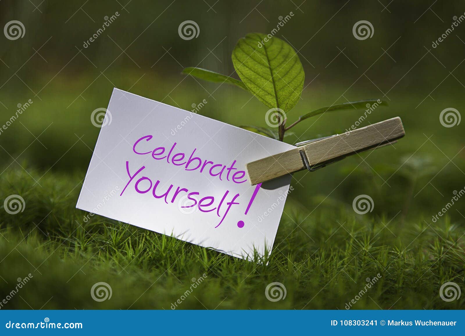 celebrate yourself!