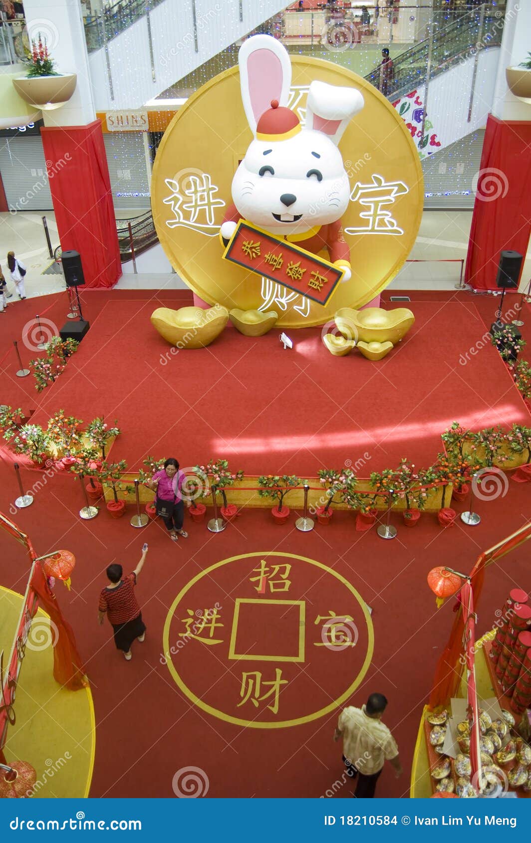 chinese new year rabbit chinese new year rabbit