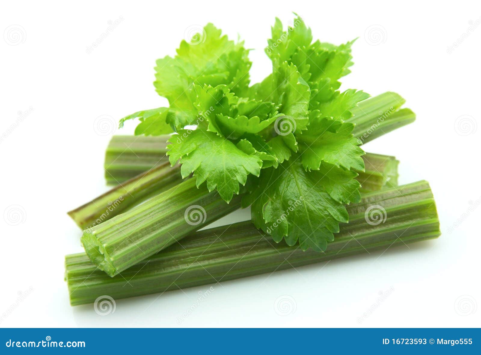 Celery stock image. Image of dietary, sparse, green, single 16723593