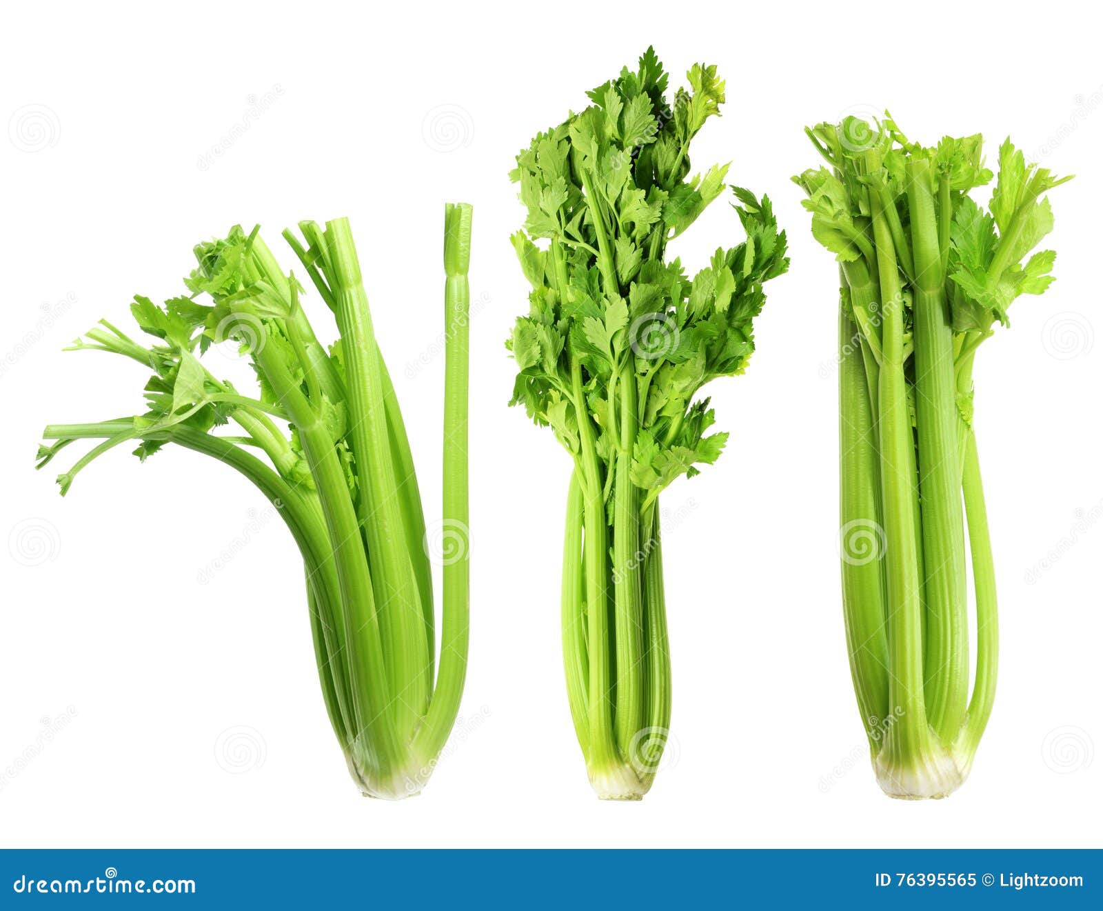 Celery stock image. Image of freshness, vegetable, stalks 76395565