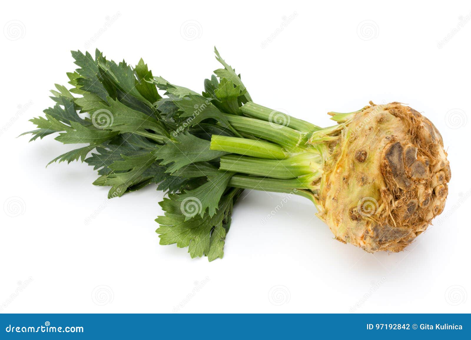 Celery. Healthy food. stock photo. Image of green, bunch 97192842