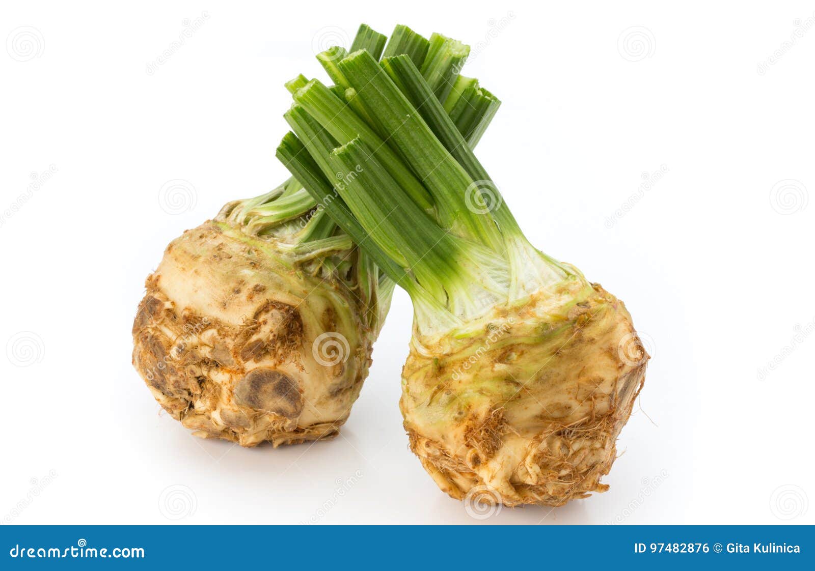 Celery. Healthy food. stock photo. Image of bunch, fresh 97482876