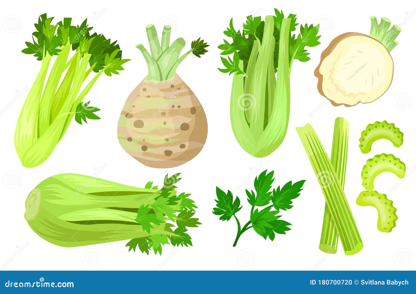 Celery Isolated Cartoon Set Icon. Vector Cartoon Set Icon Vegetable