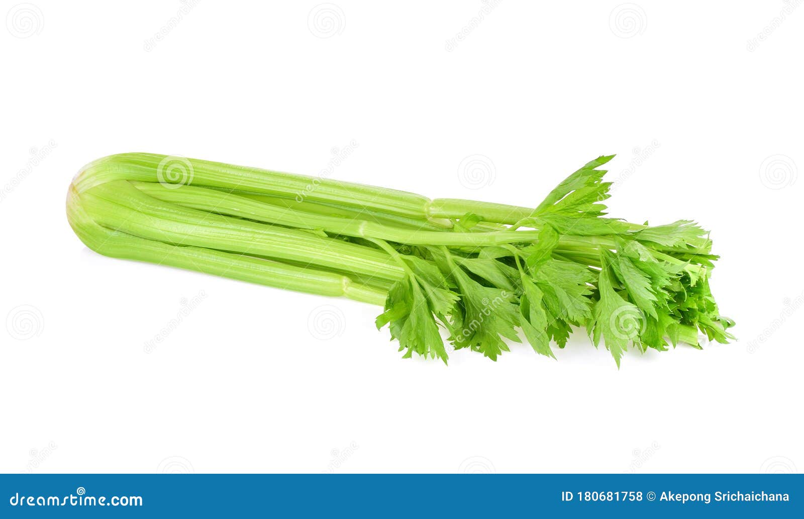 Celery Isolated on White Background Stock Photo Image of healthy