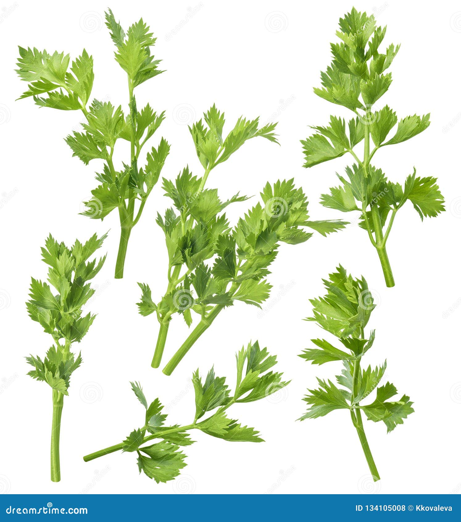 Elements Celery Stock Photos Free & RoyaltyFree Stock Photos from