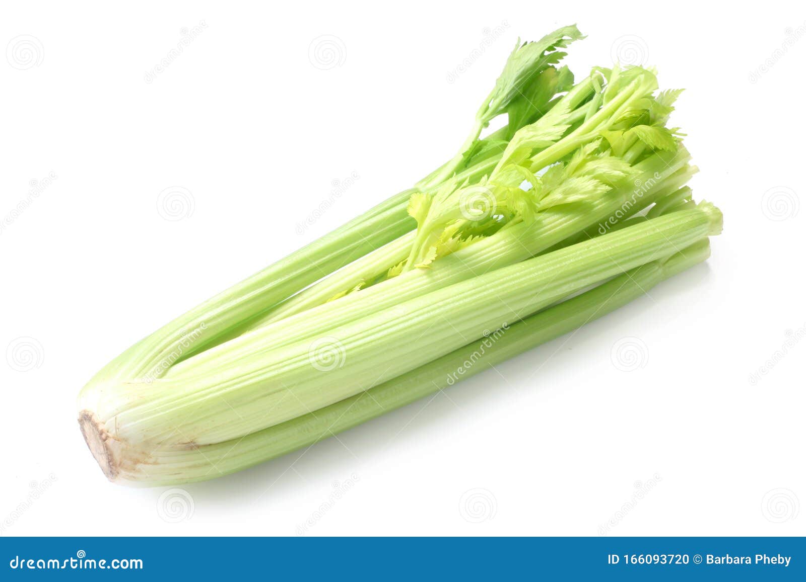 Celery stock photo. Image of celeriac, diet, food, eating 166093720