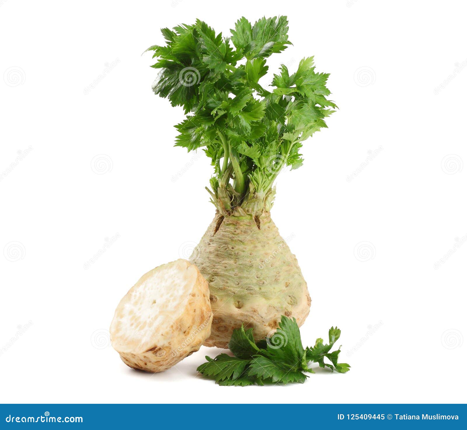 Celery Root with Leaf Isolated on White Background. Celery Isolated on