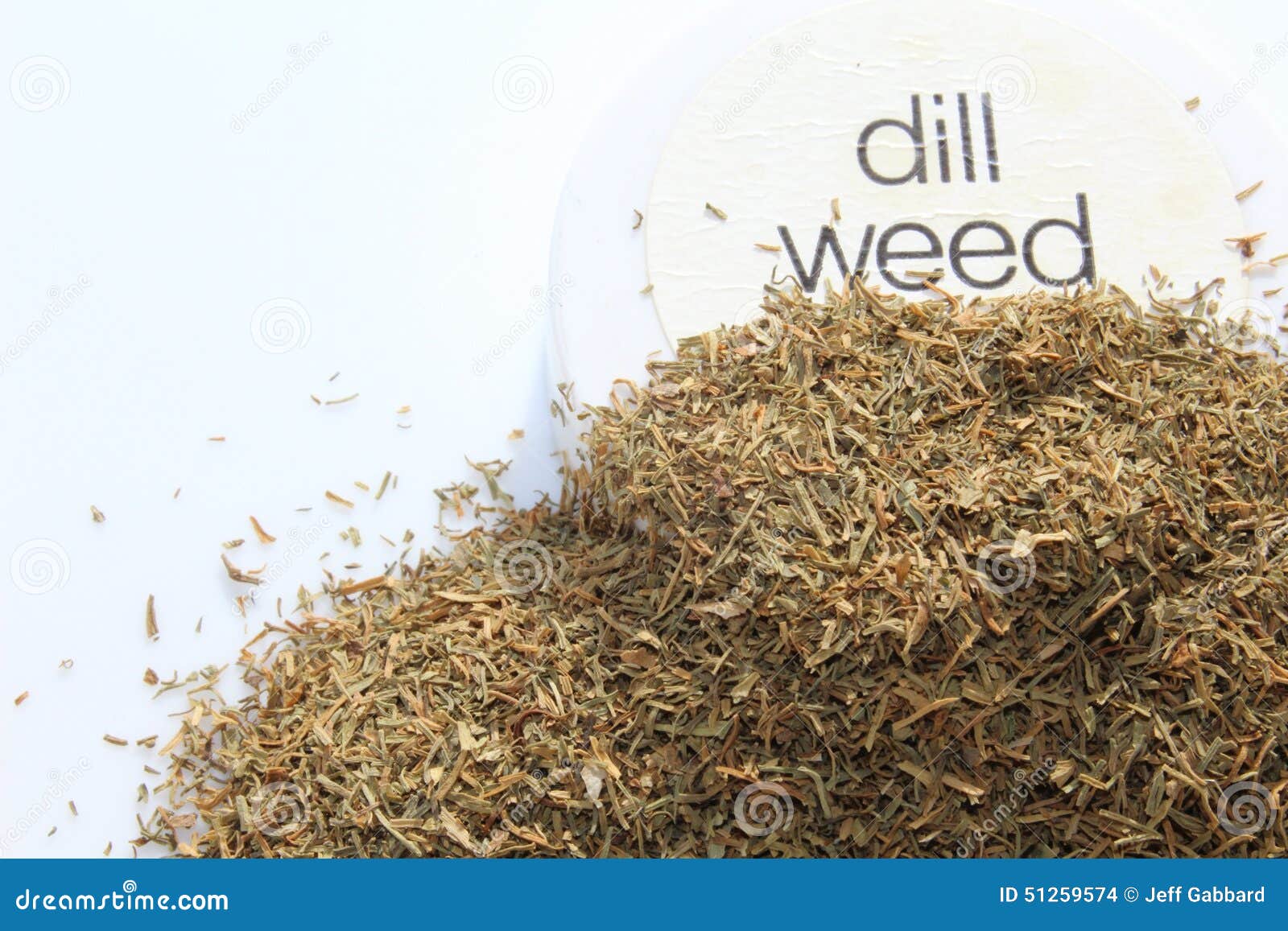 Celery salt stock photo. Image of season, vitality, organic 51259574