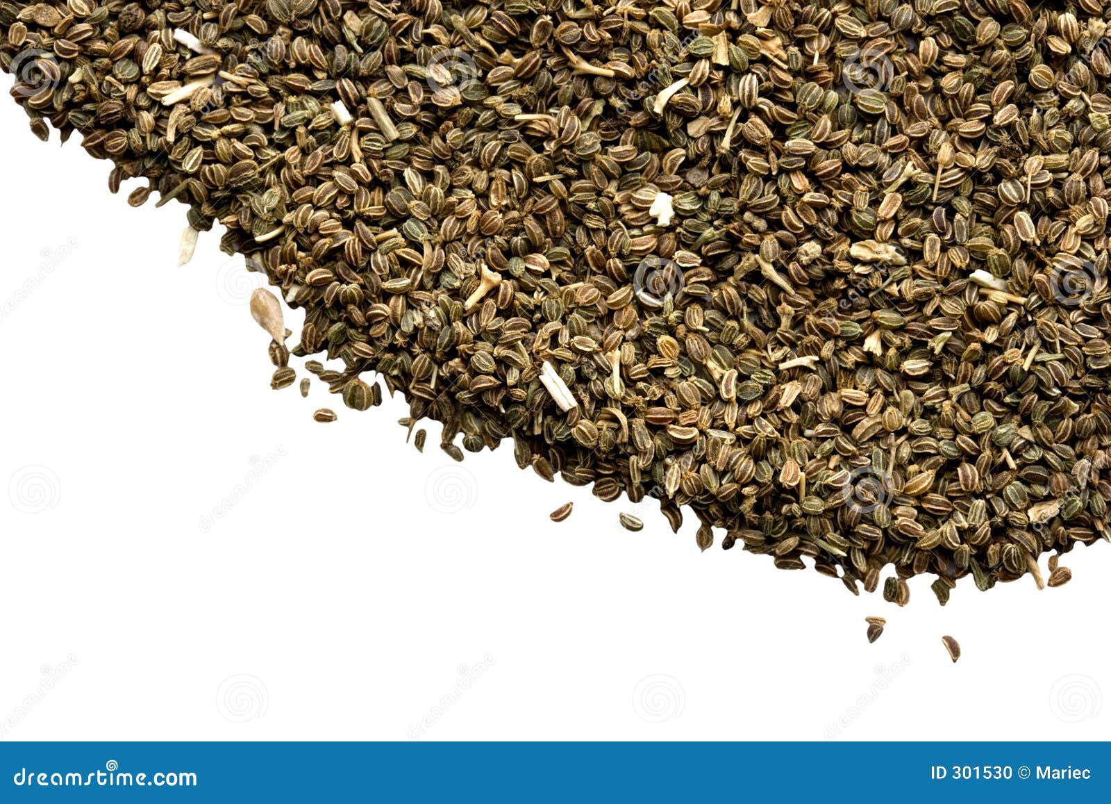 Celery Seeds stock photo. Image of freshness, flavouring 301530