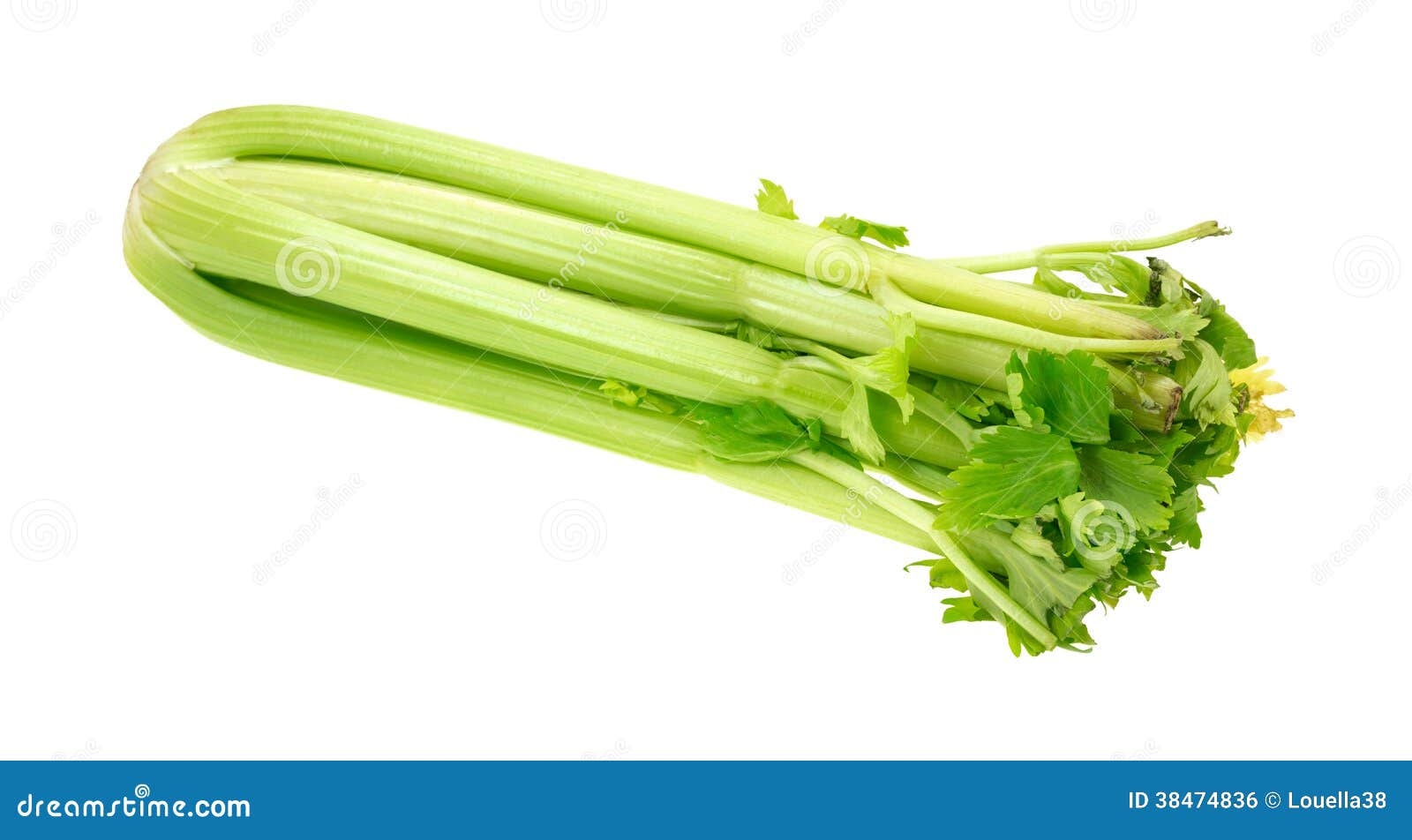 Celery Stalks Side View stock photo. Image of green, white 38474836